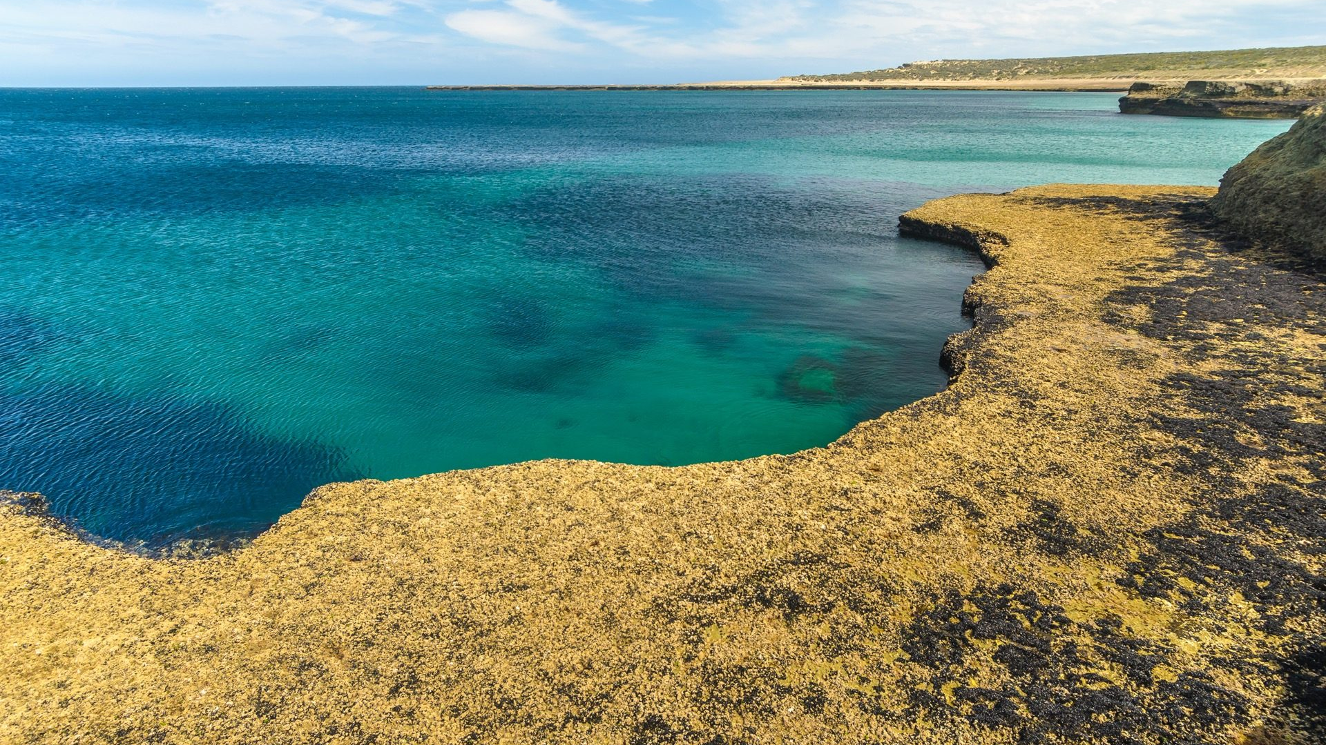 cb6c044e-ff54-4840-86a1-ad7c430a183e-1605104565