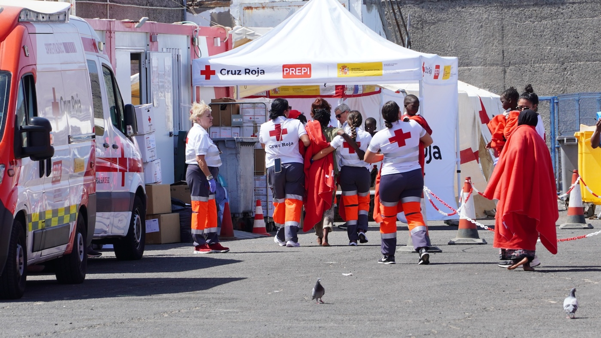 Canarische__Canary4stock-1750079758