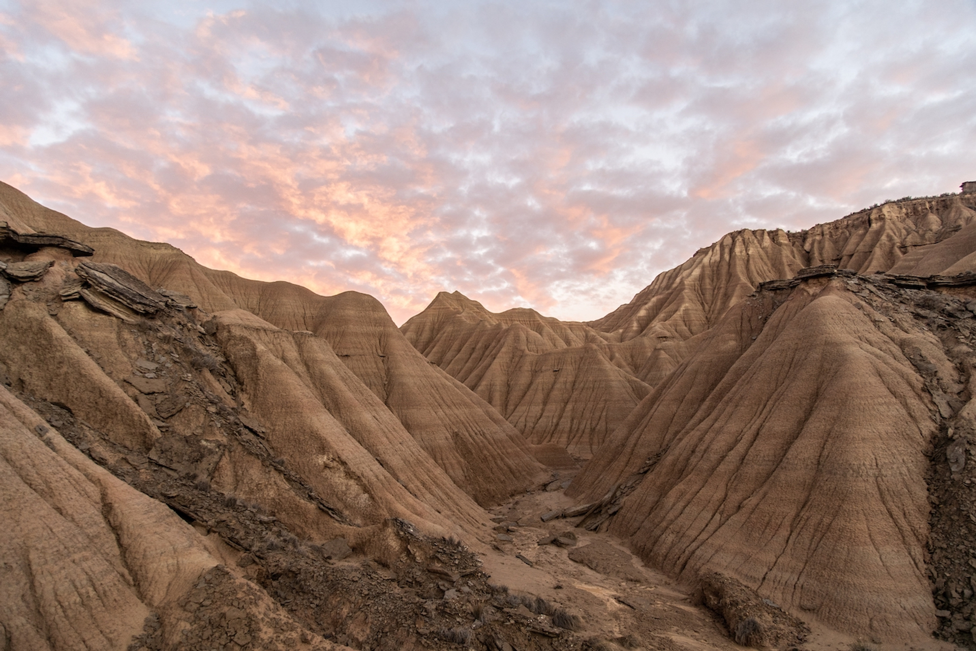 shutterstock_2093681524-1650617274