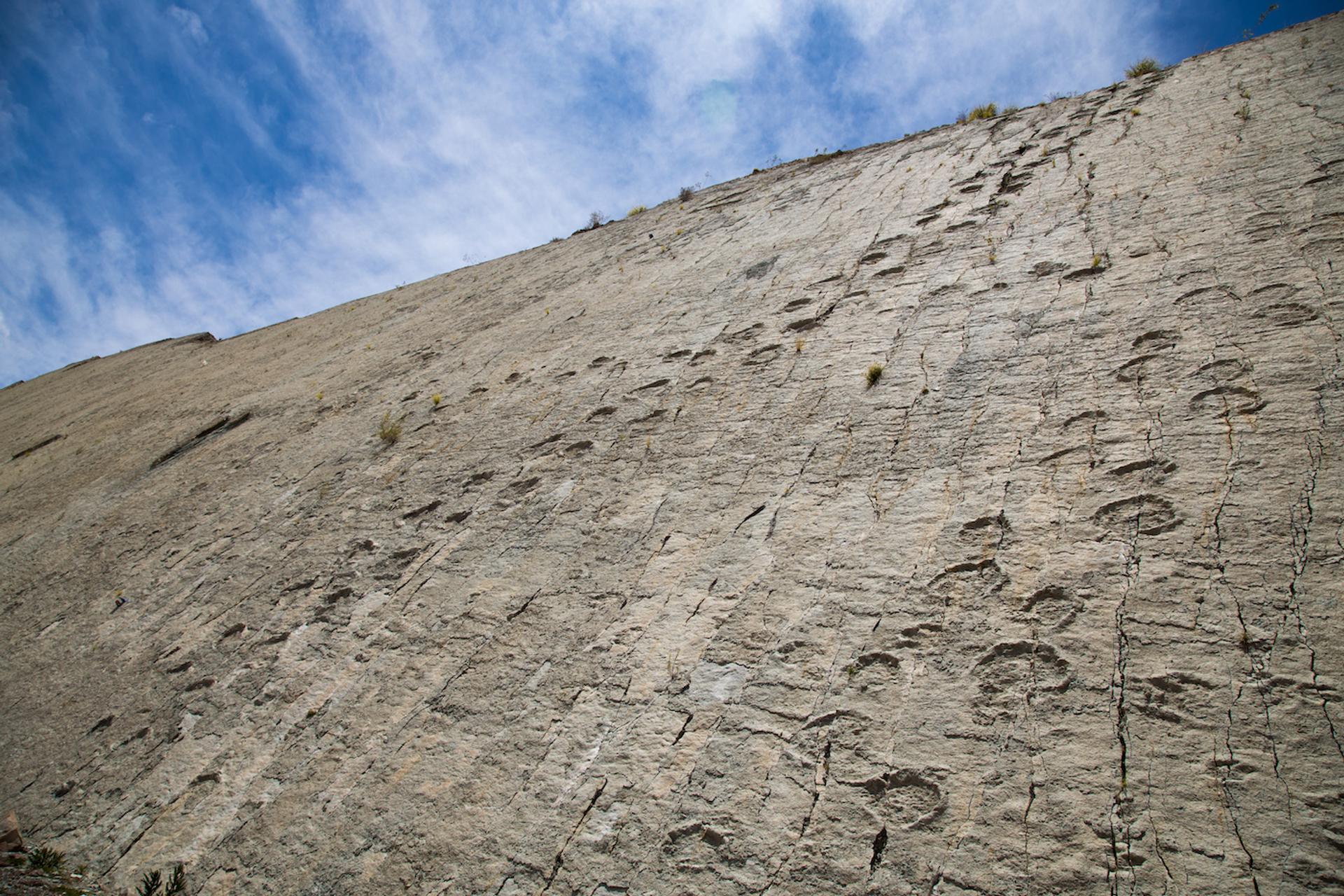 shutterstock_1567951429-1626175577