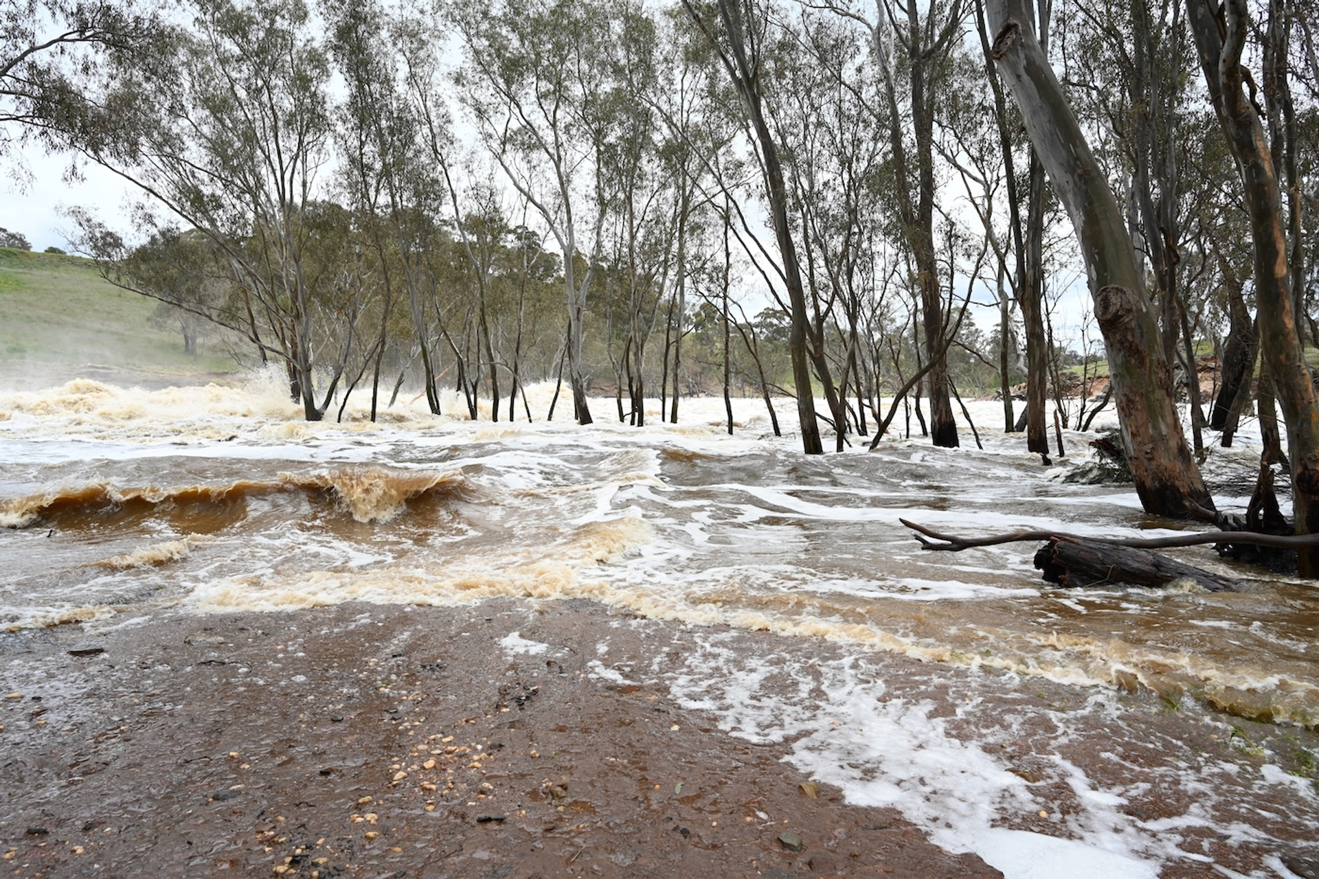 shutterstock_2221586549-1753880559