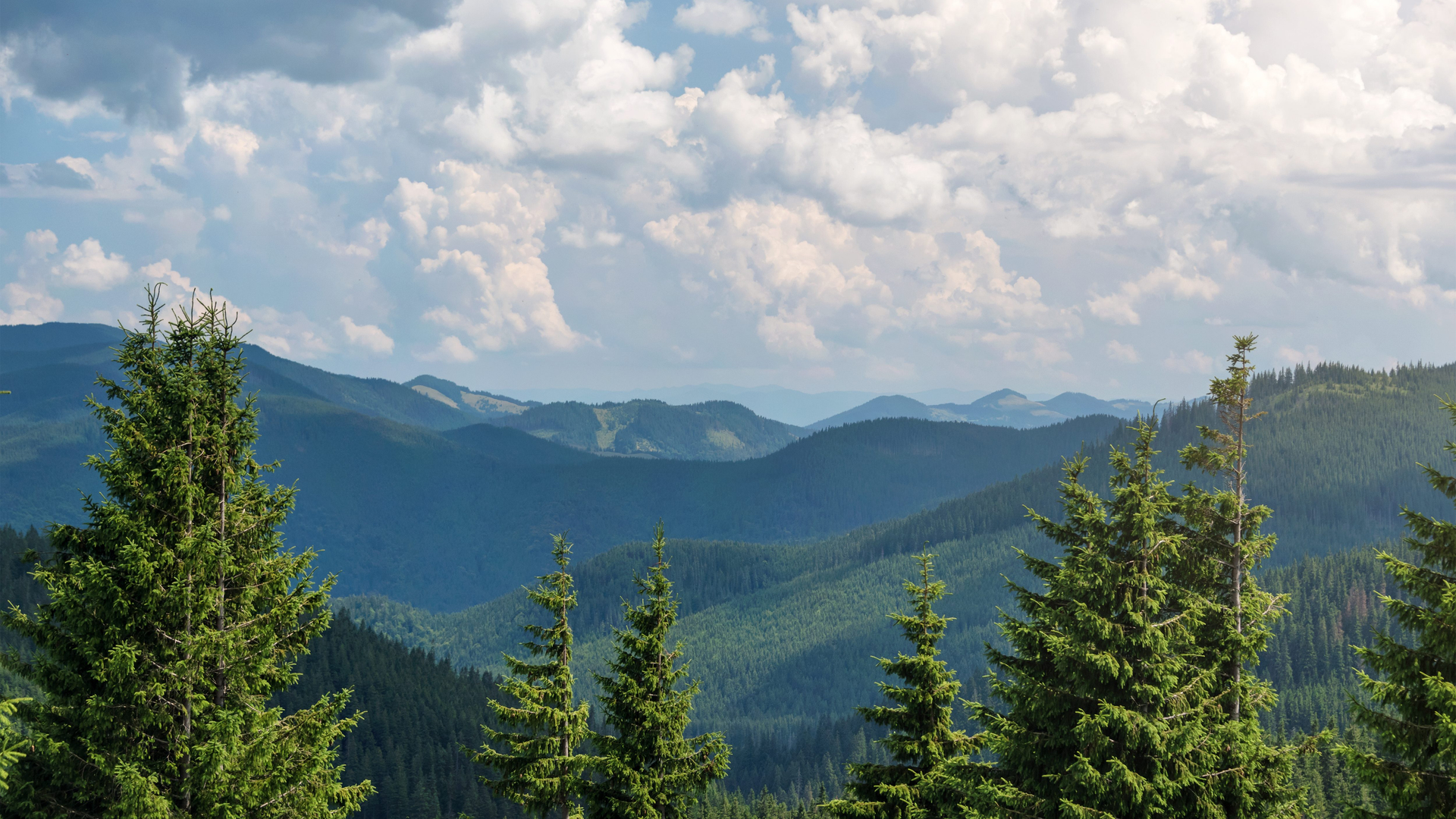 a416612a-3fd6-4abb-b21a-75df625fdbdd-1605106016