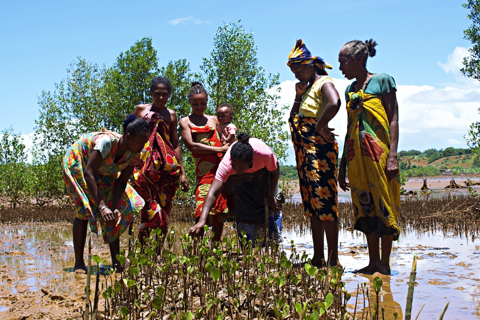 Madagascar_EL_2-1710868418