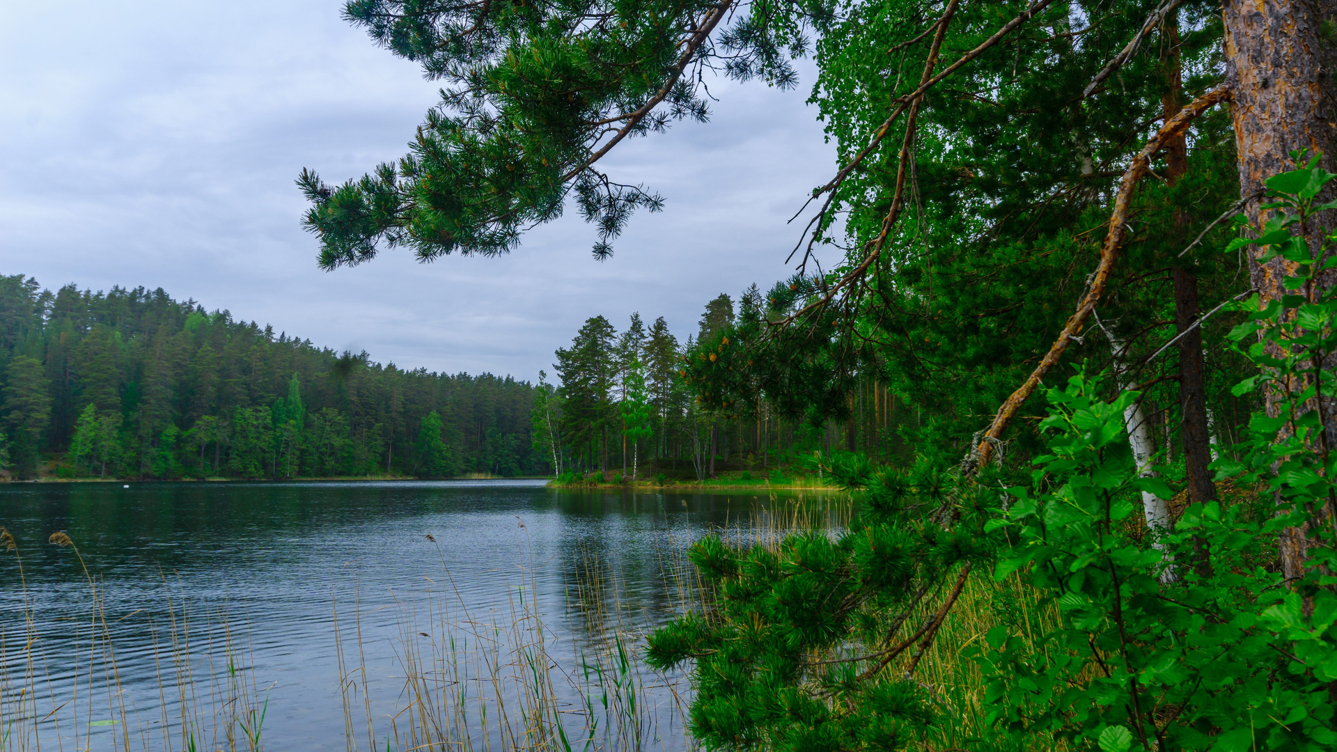 b1257984-7b8c-4a01-925f-33278f5b1b7b-1605106821