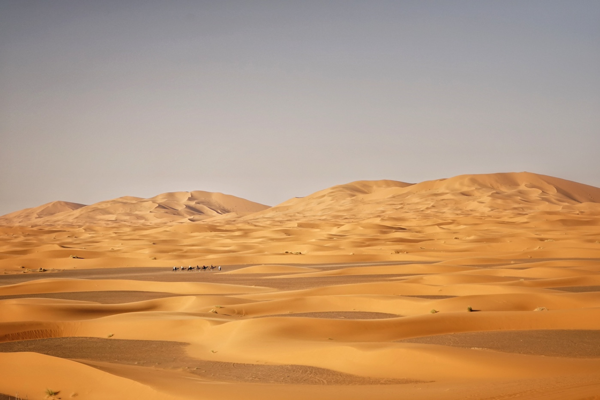 Samuel_Lehman-1715181663