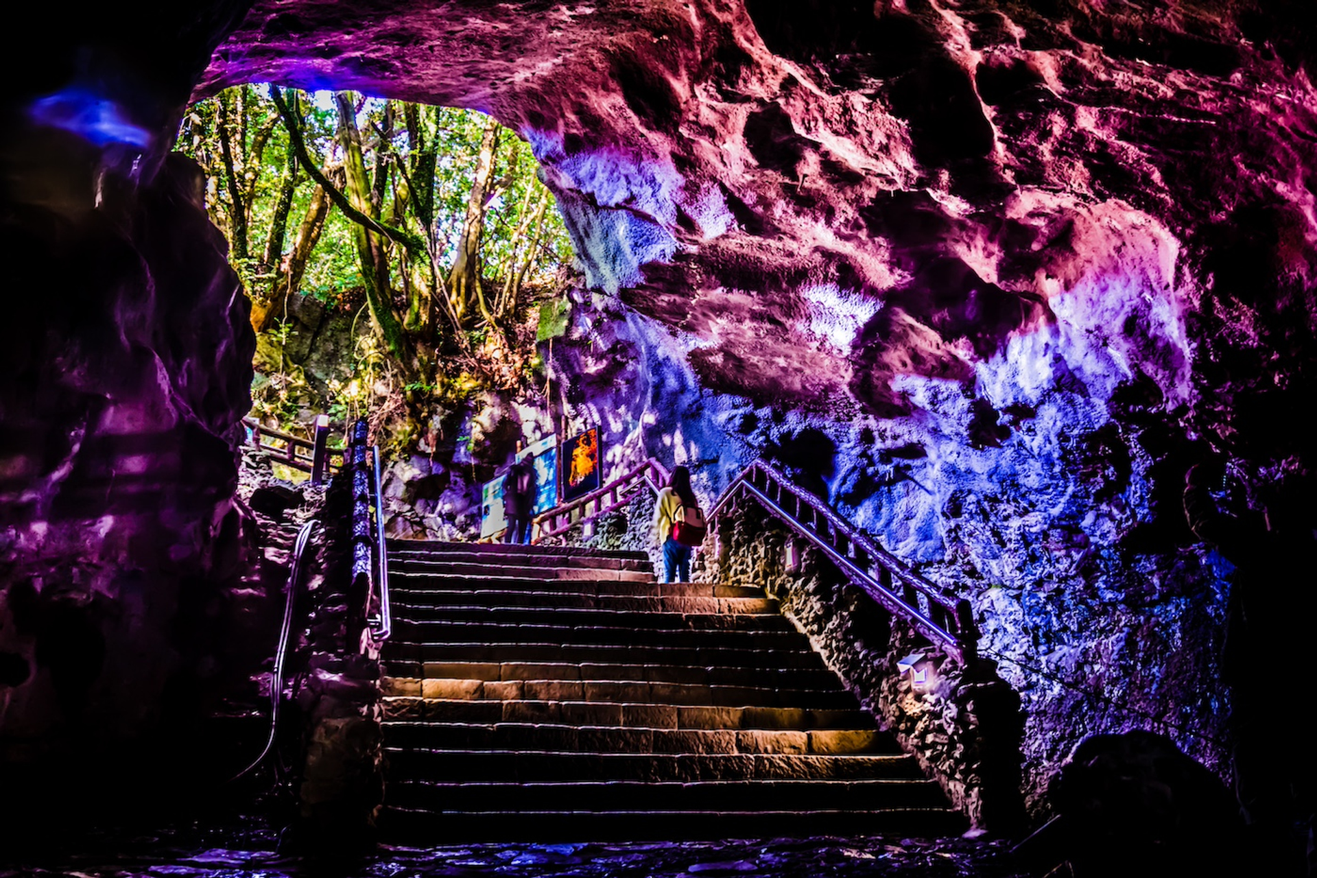 shutterstock_1092646382-1733823591