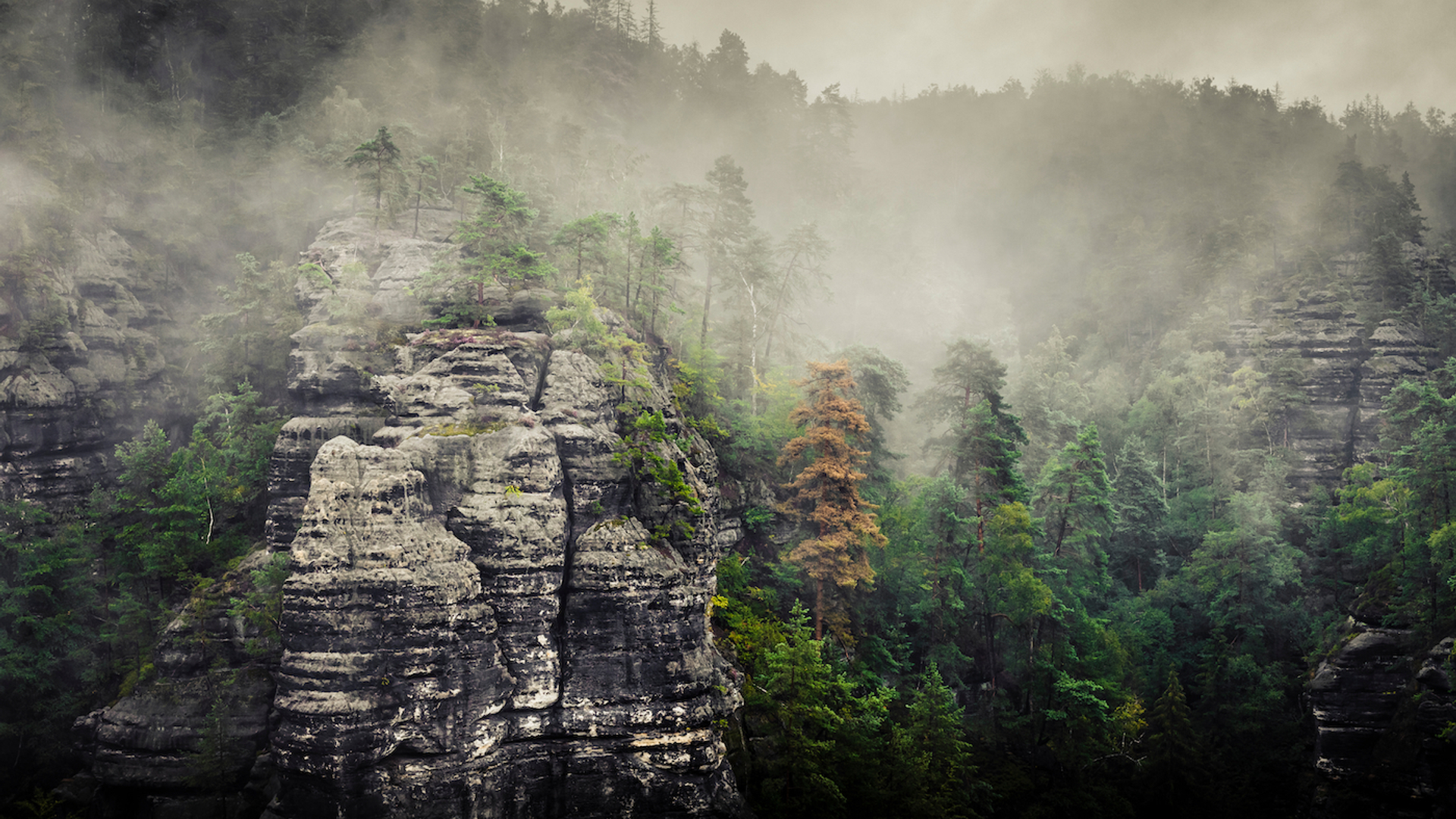 Martin_Kratky-1704715539