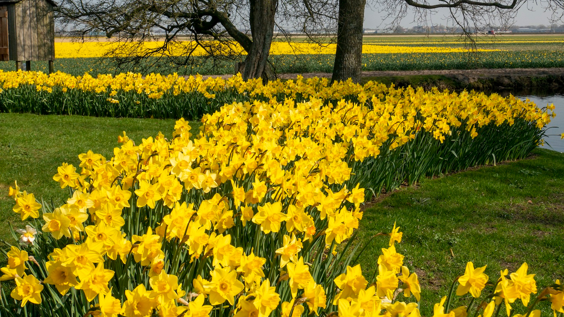 3OR_Keukehof_kopie-1648482715