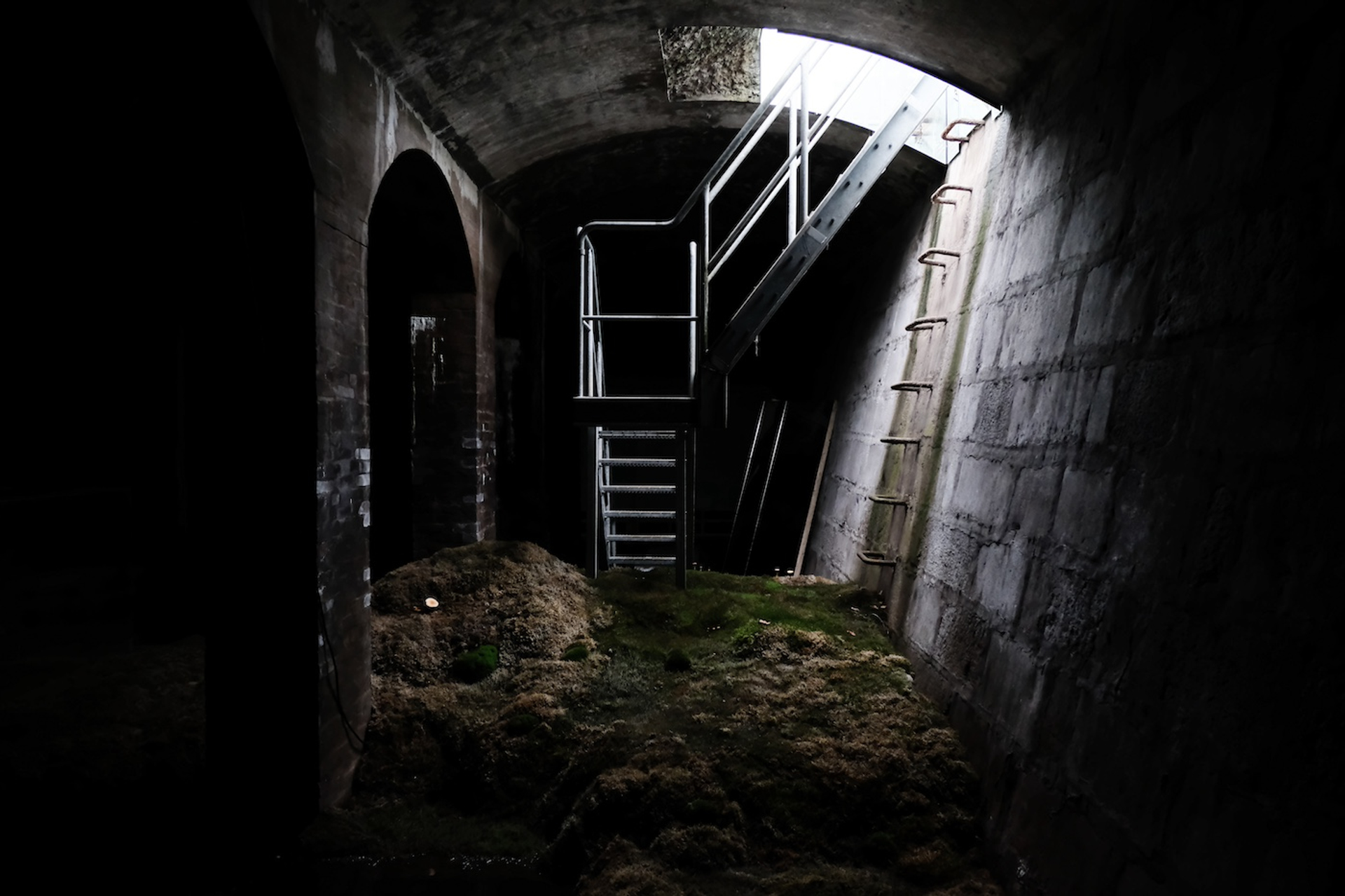 shutterstock_1137882794-1721201004