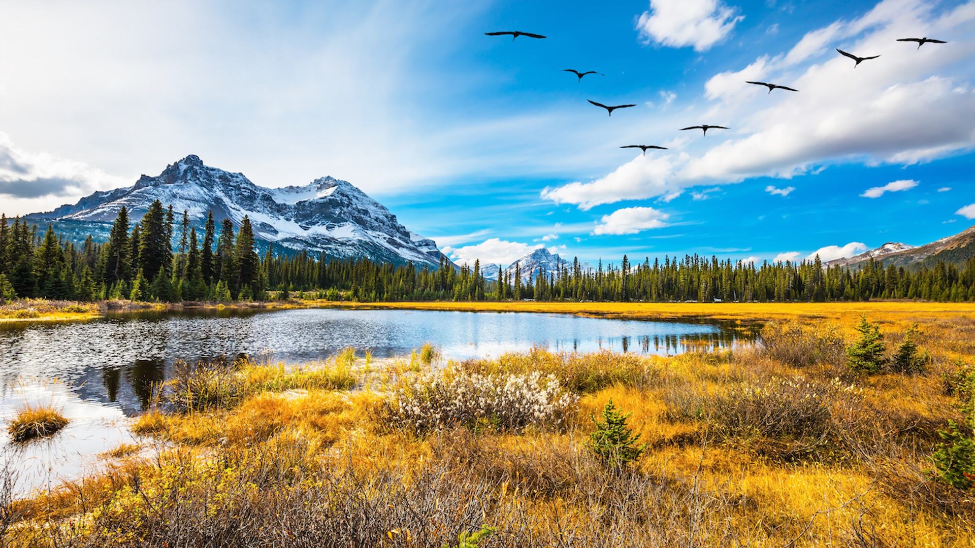 shutterstock_535214419-1631267376