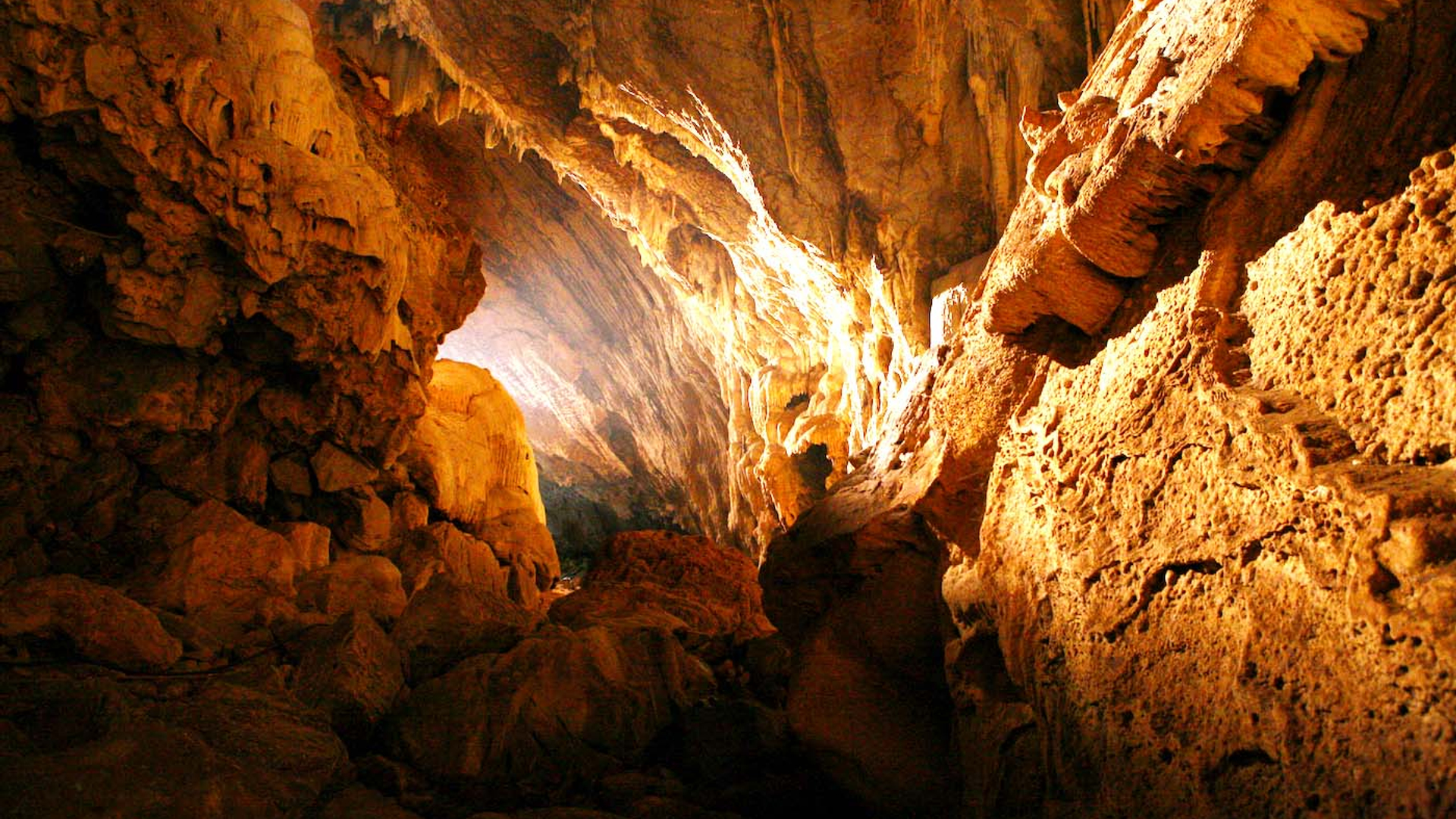 grot__prarinyafoto_shutterstock2-1632903314