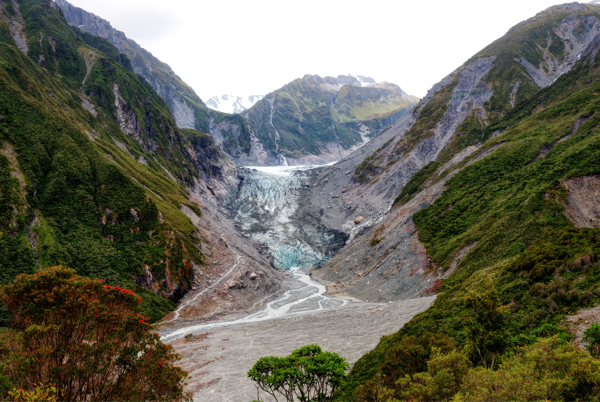 3OR_Fox_Glacier-1669222412