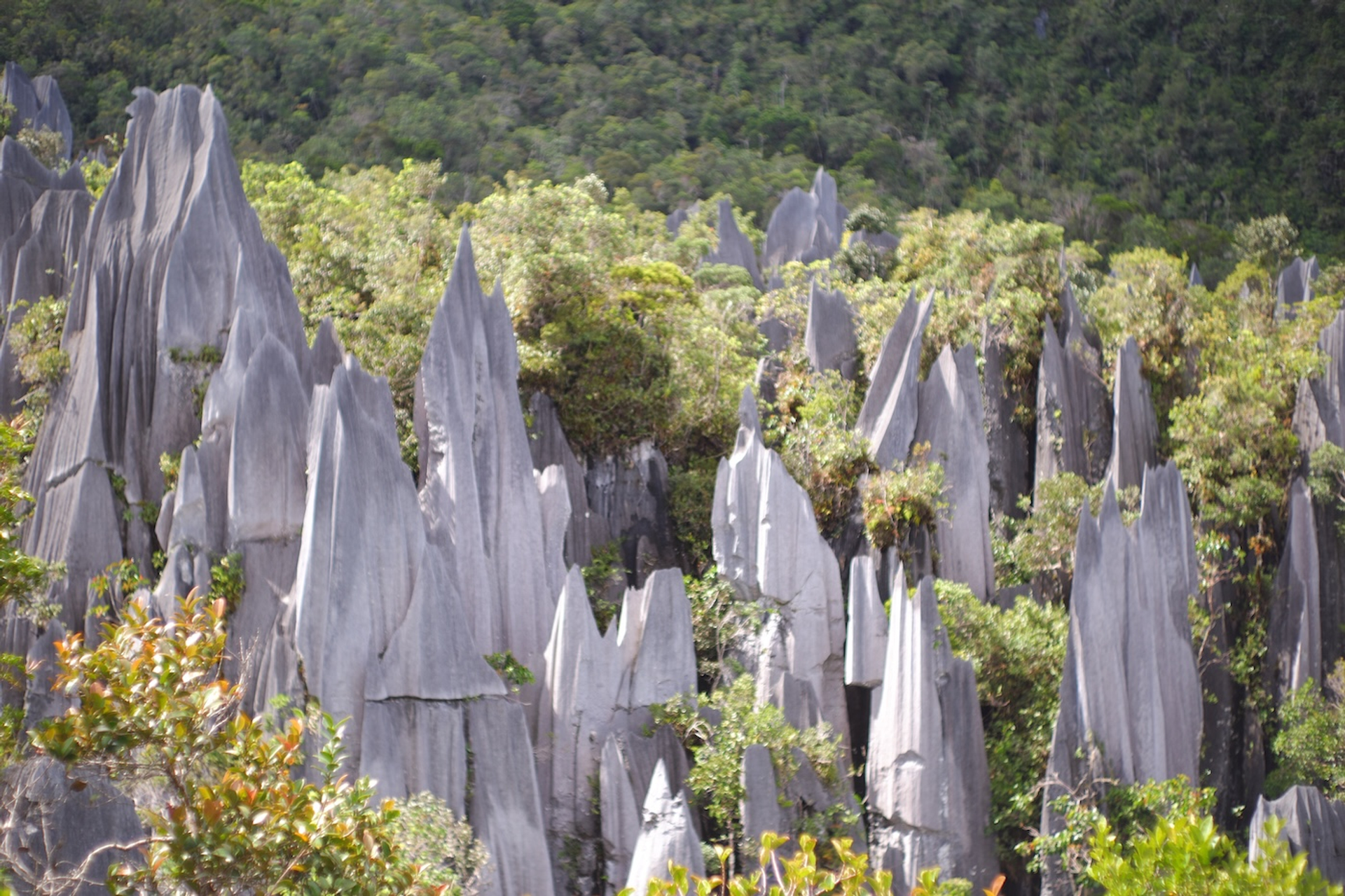 shutterstock_2489592041-1751956966