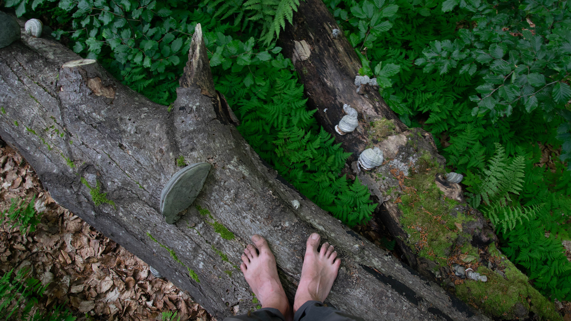 shutterstock_1643903440-1624446233