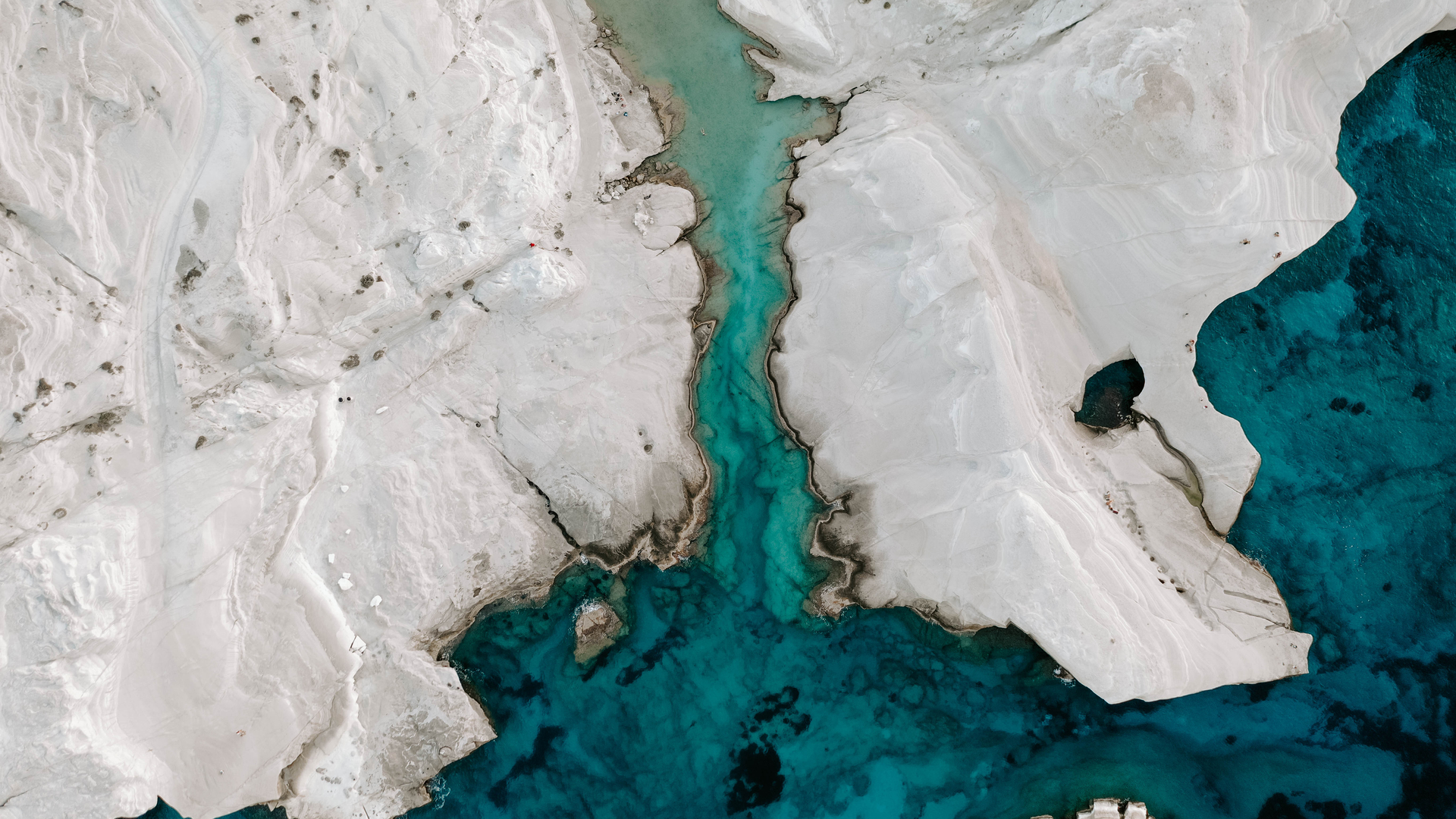 Marta_Drozdziel-1682510493