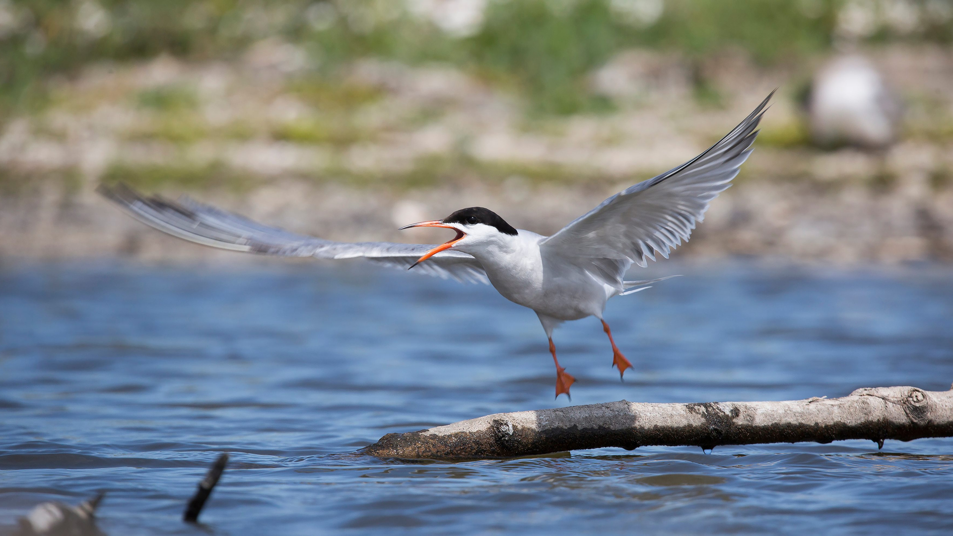 df59c2b3-c7ea-4421-a549-ae999a716121-1605001910