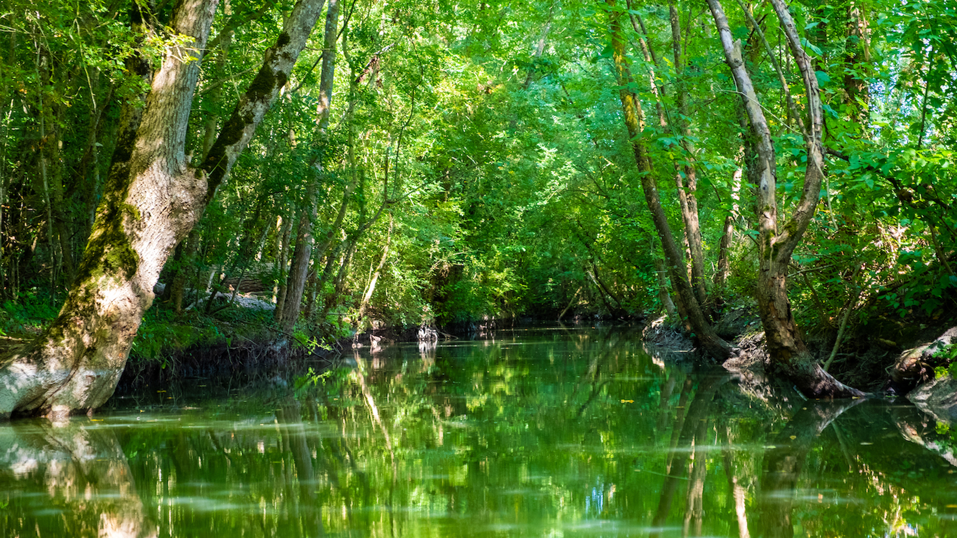 Elisa_Locci_kopie-1686216844