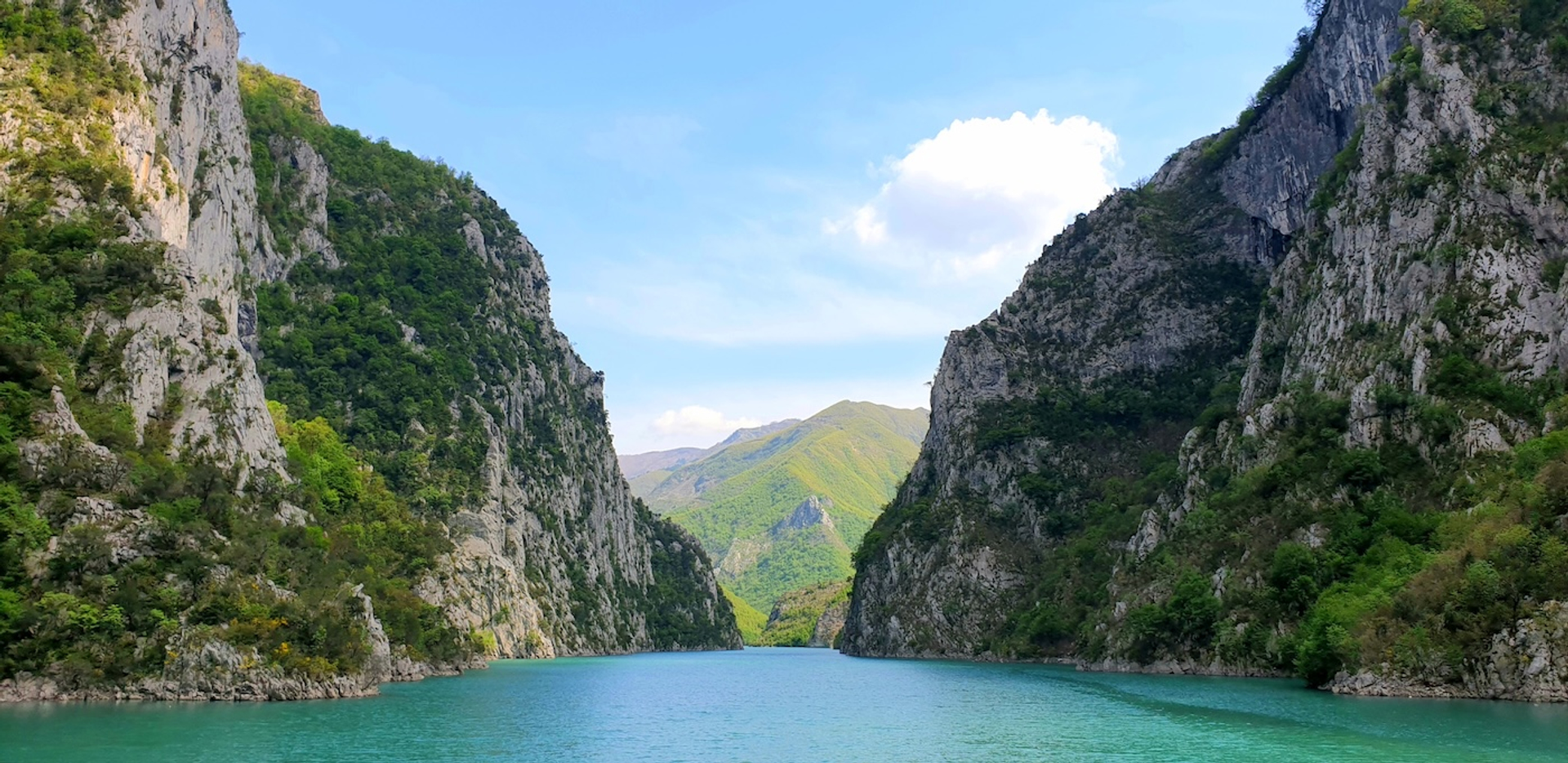 AlexaFelice-1738081922