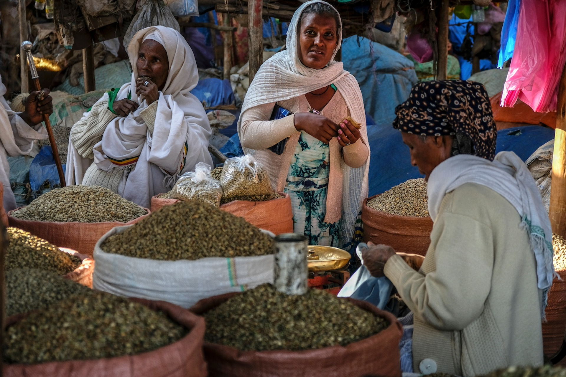 shutterstock_1041920524-1727710672