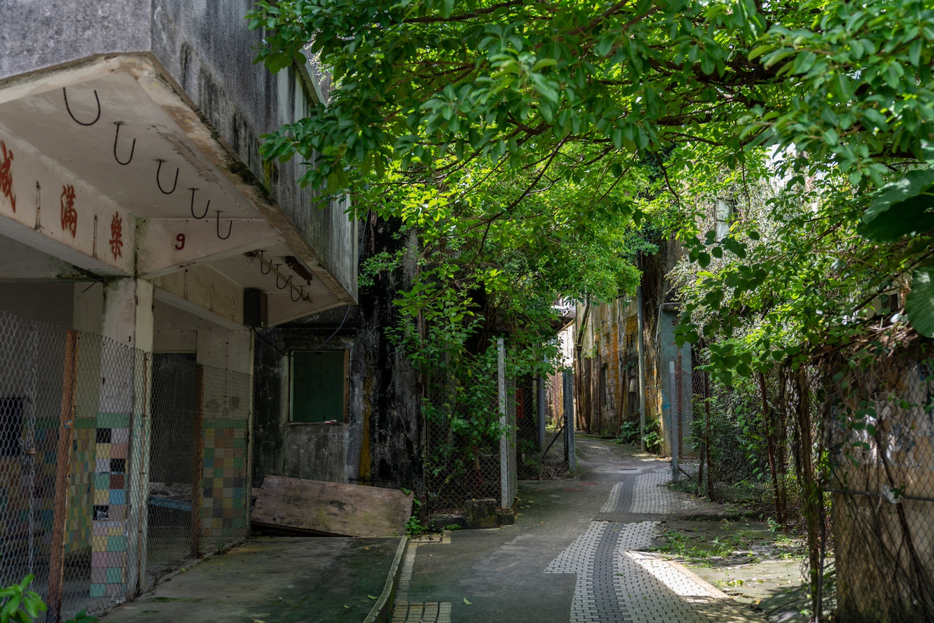 shutterstock_1462705166-1711006030