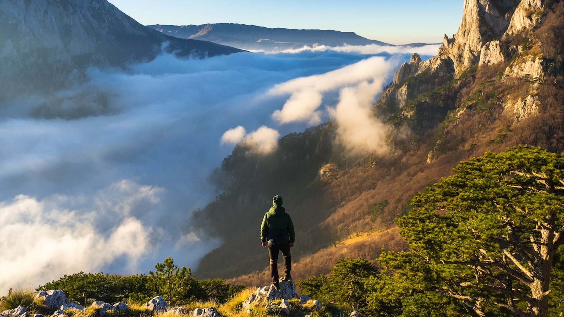 AleksandarPhotograpy_-1728032114