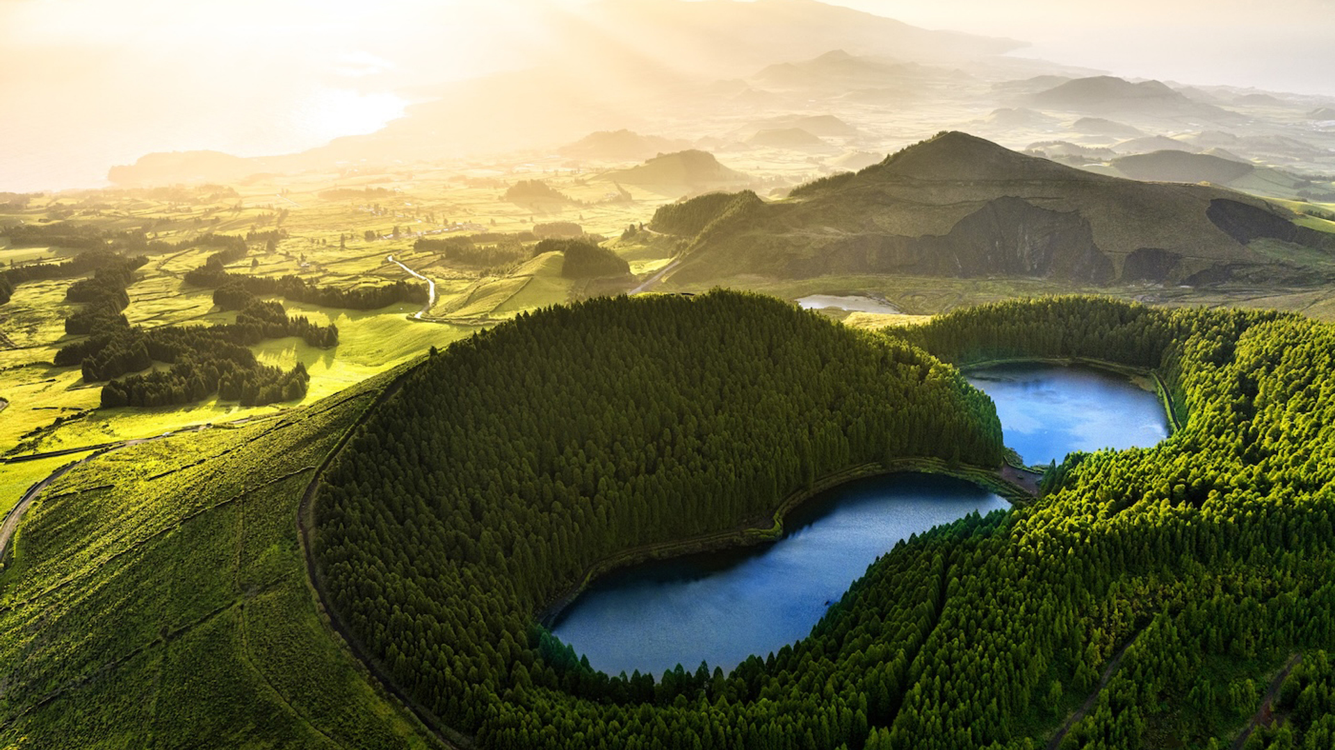 TTstudio_kopie-1756814292