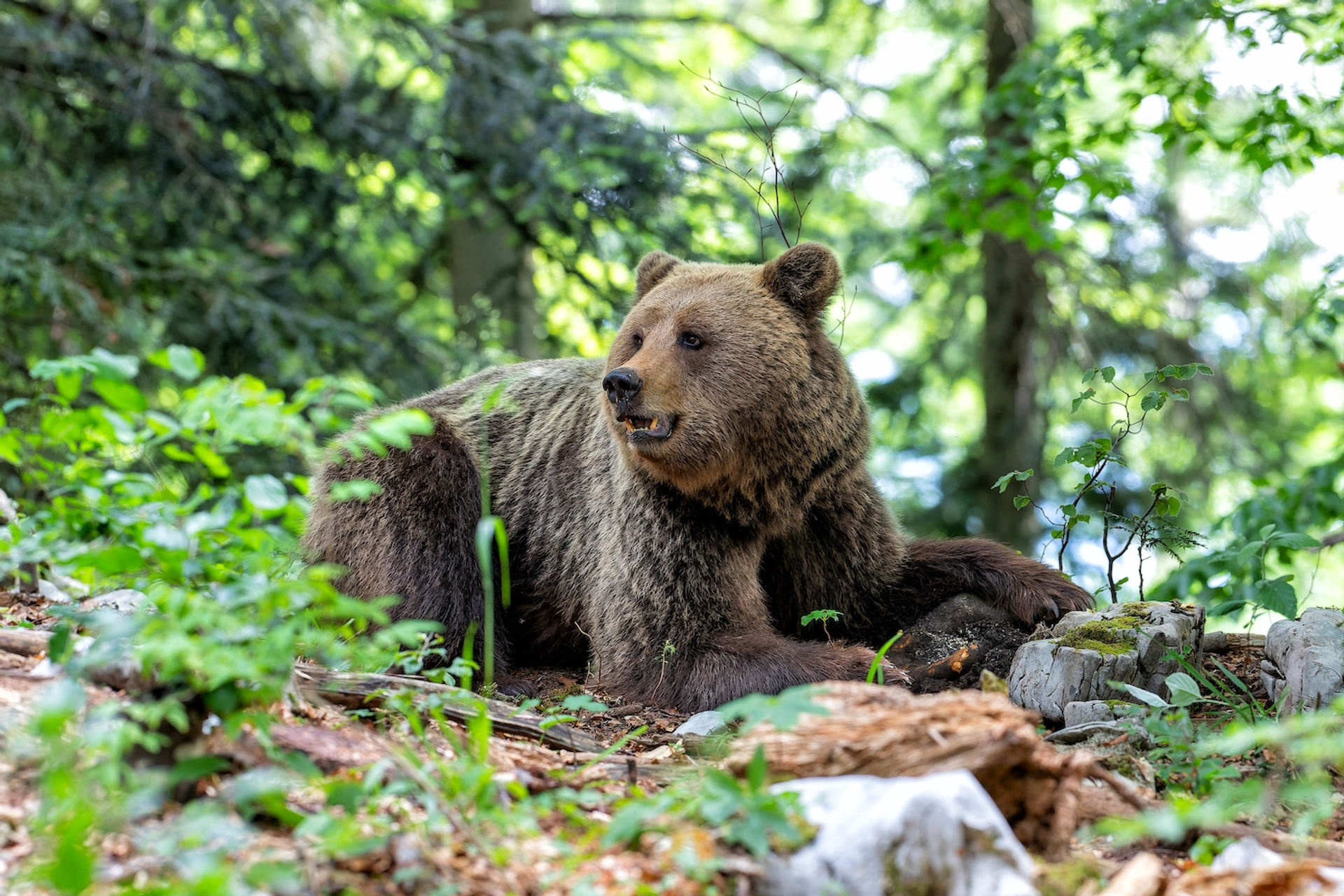 shutterstock_2278276429-1697117599