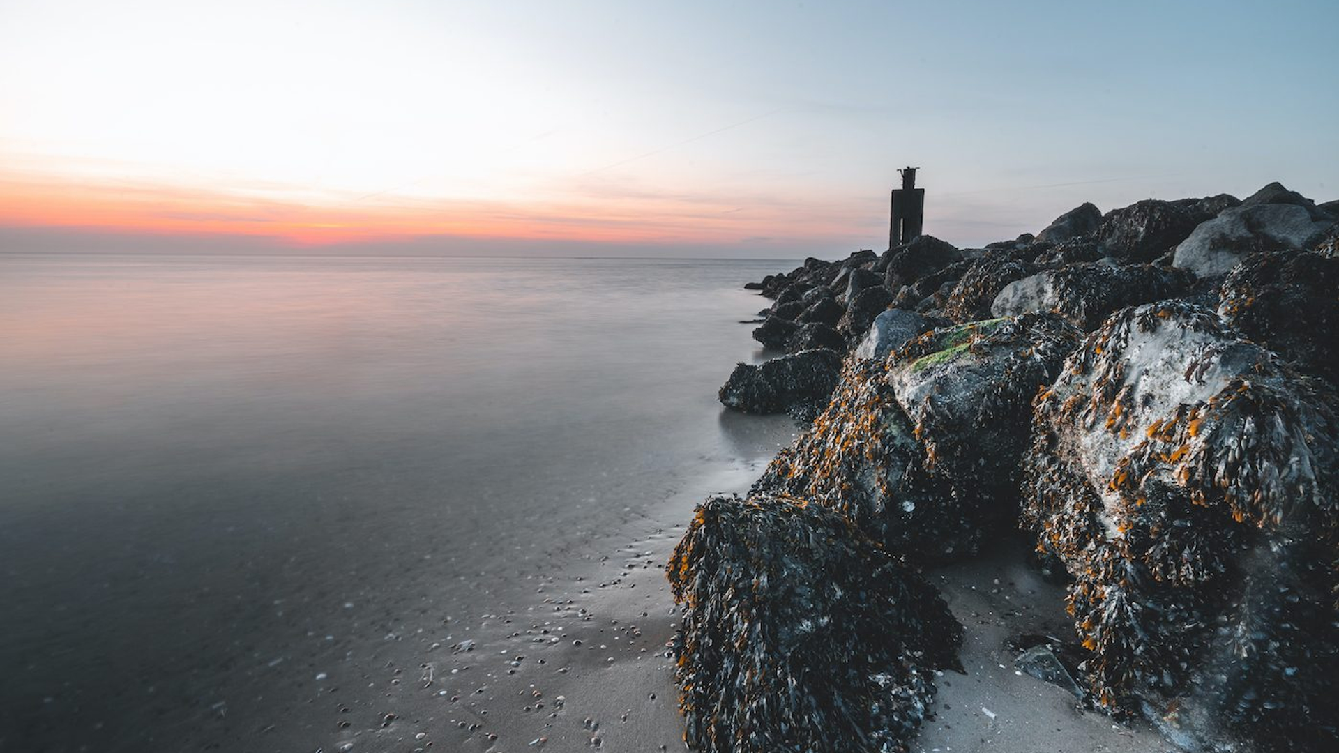 227dc959-c4f8-4d9d-a2b5-a3f6efe03f82-1606744636