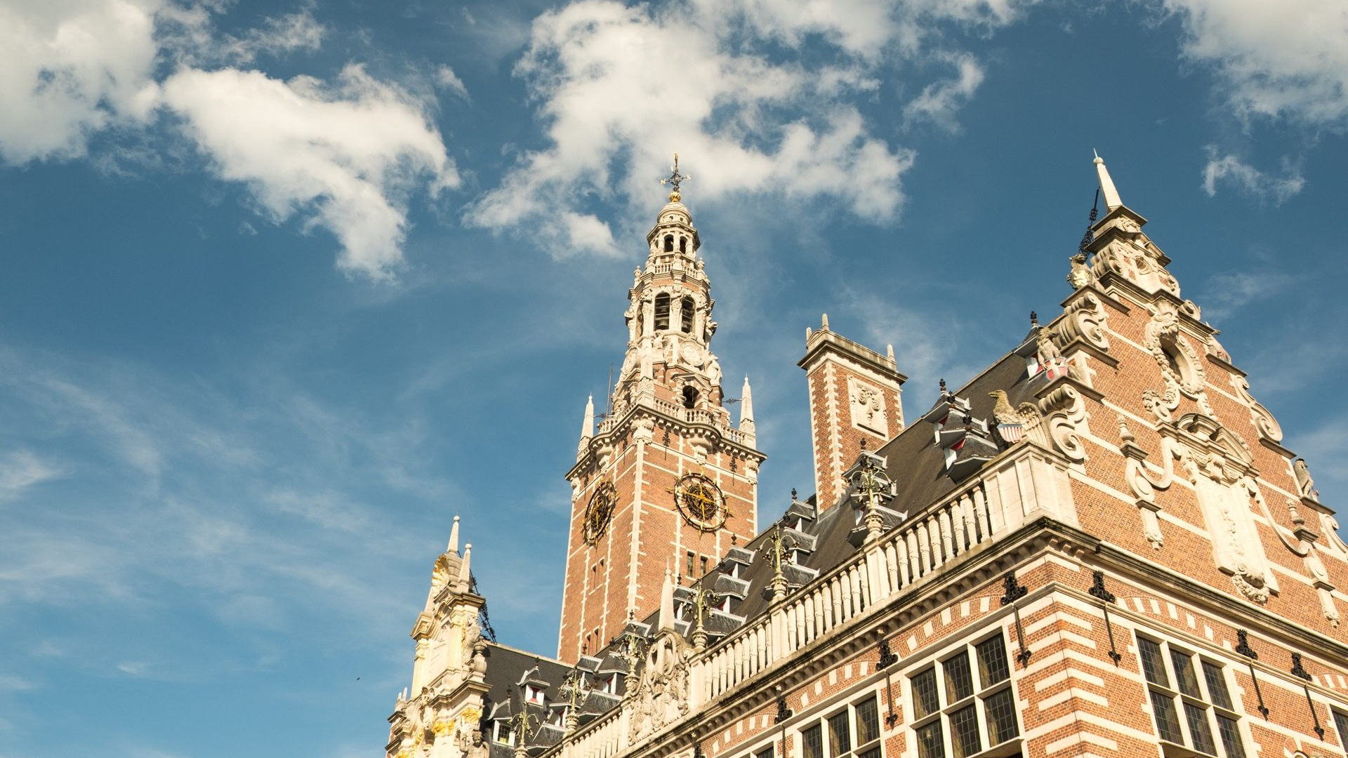 66fa7145-d287-496c-8021-8405a23535b5-1605101710