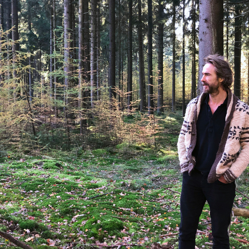 Nederlandse bossen: zo haal je meer uit onze laatste stukken groen