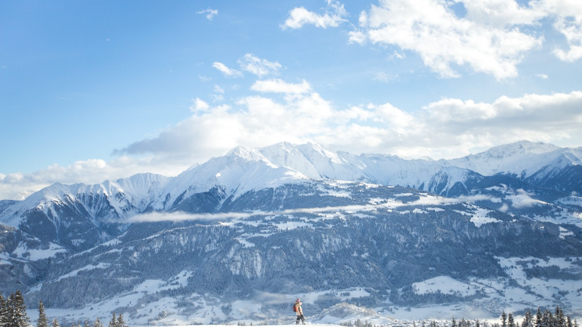 9b212918-809f-4814-a957-9f0cf67f7f22-1605100890