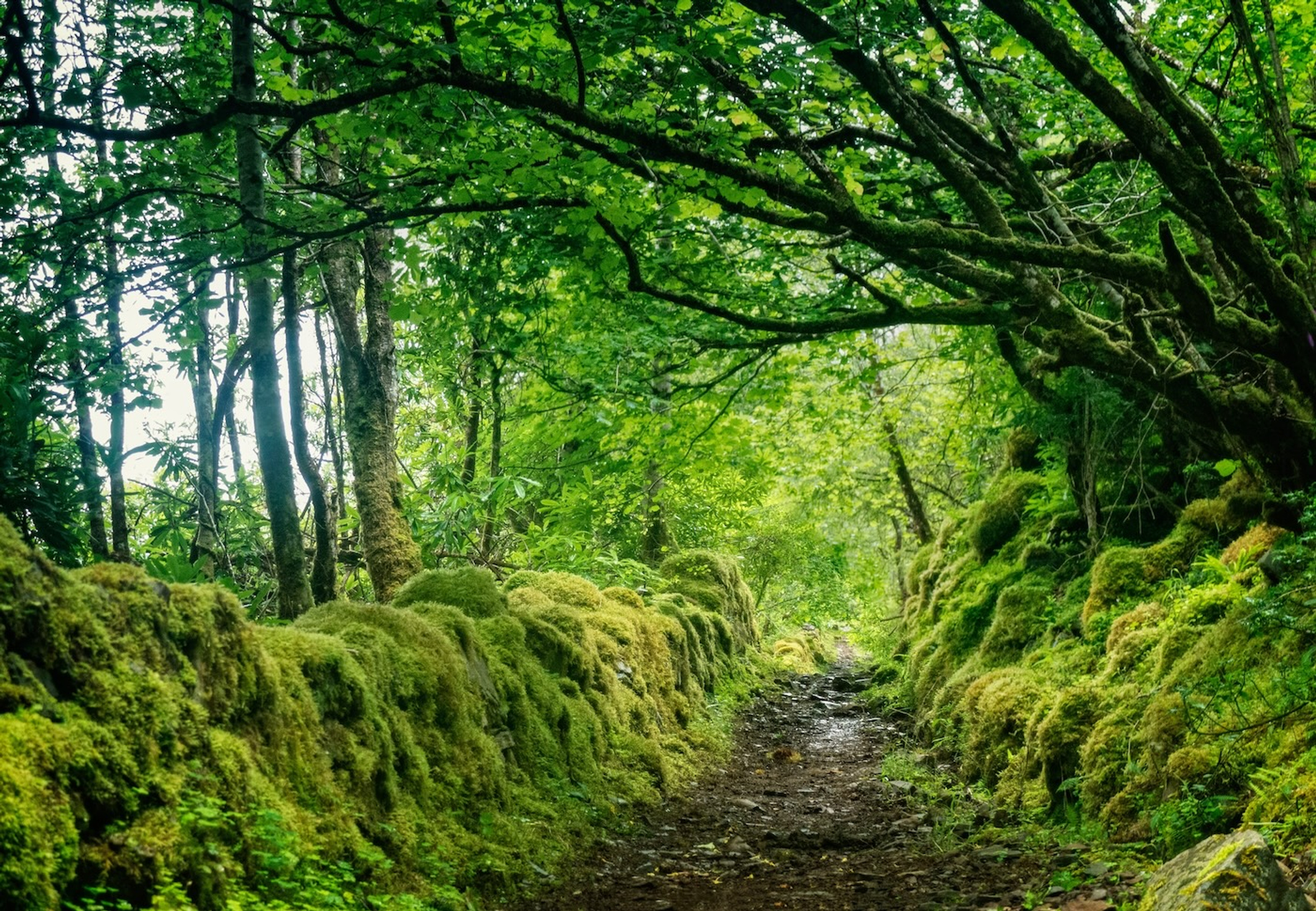 Gareth_L_Evans-1725453837