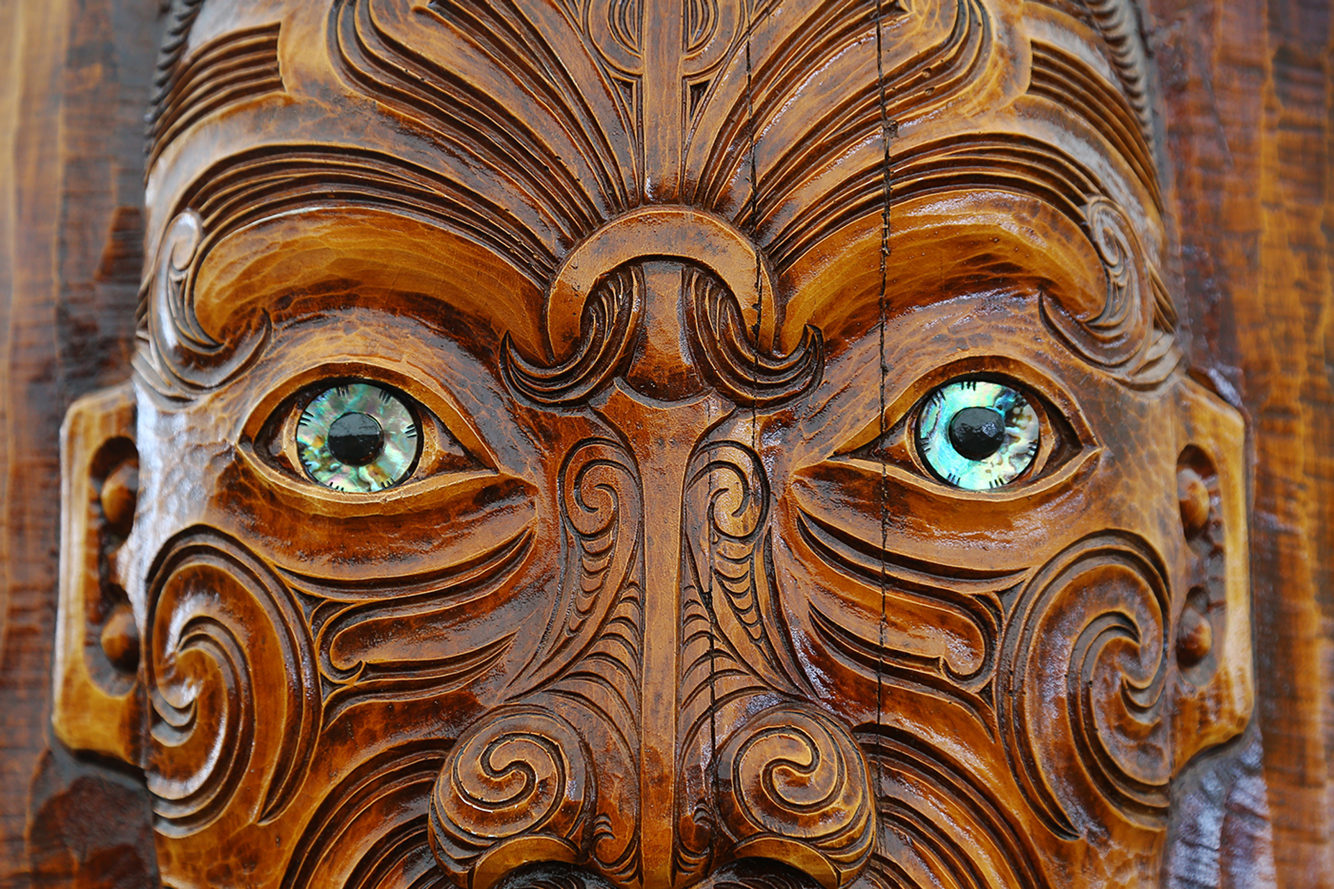 3OR_Maori_Nieuw-Zeeland-1660574788