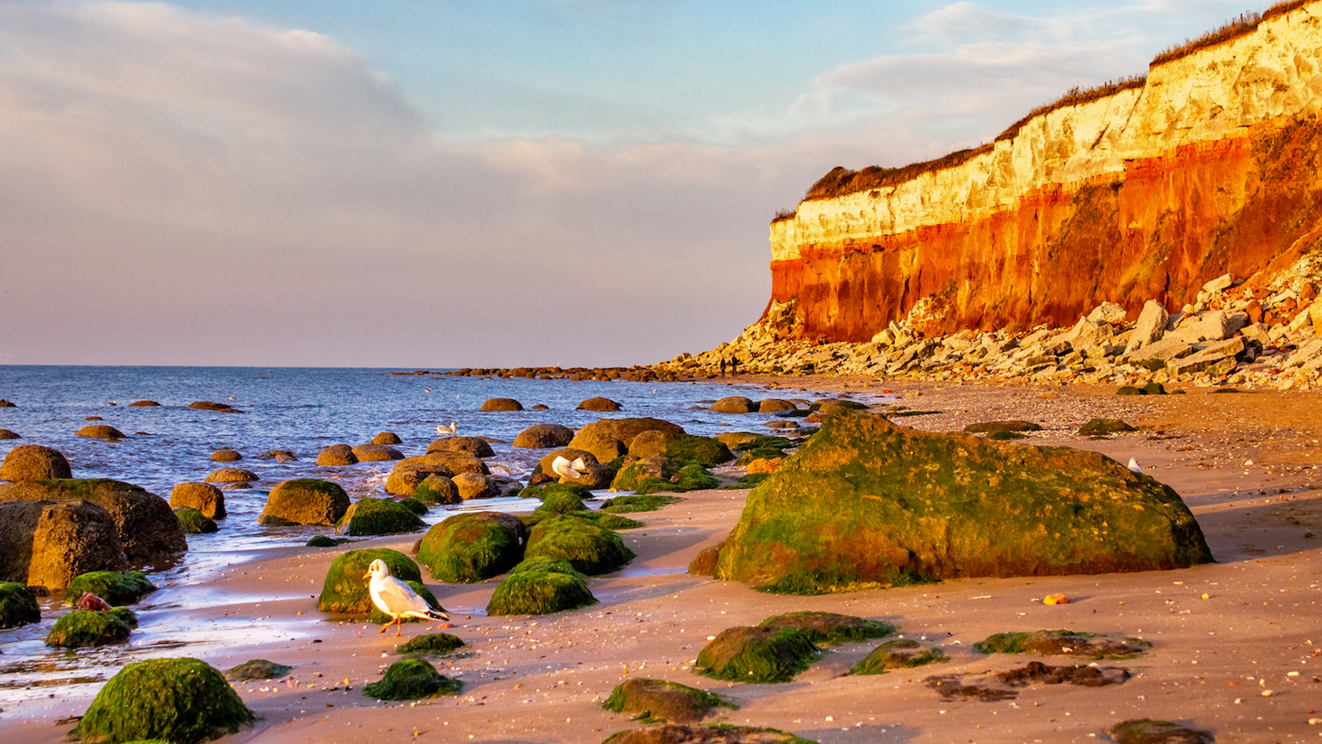 JoelSantos___Shutterstock.com-1694092575