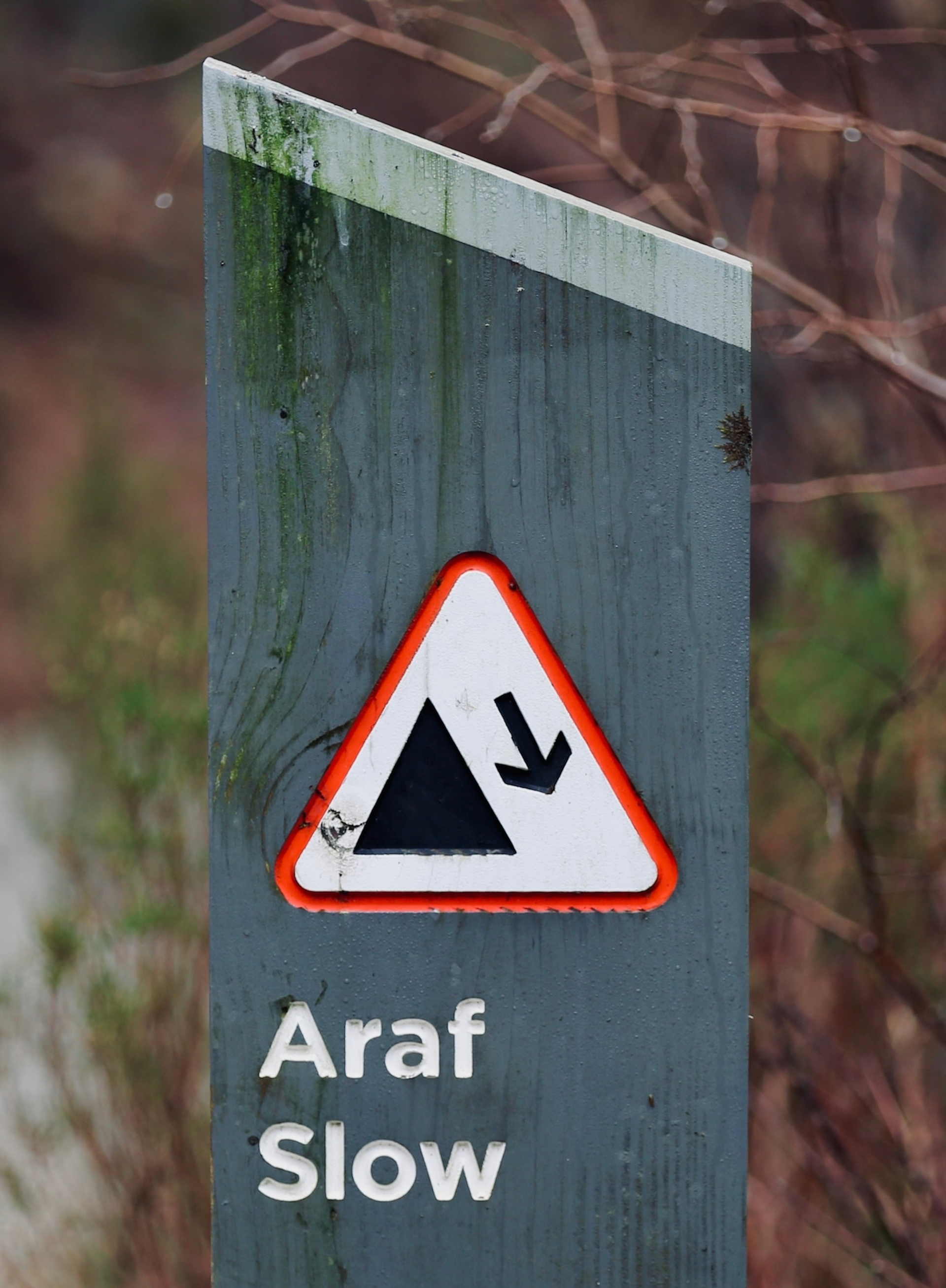 Daz_Hopper_Photography-1711115541