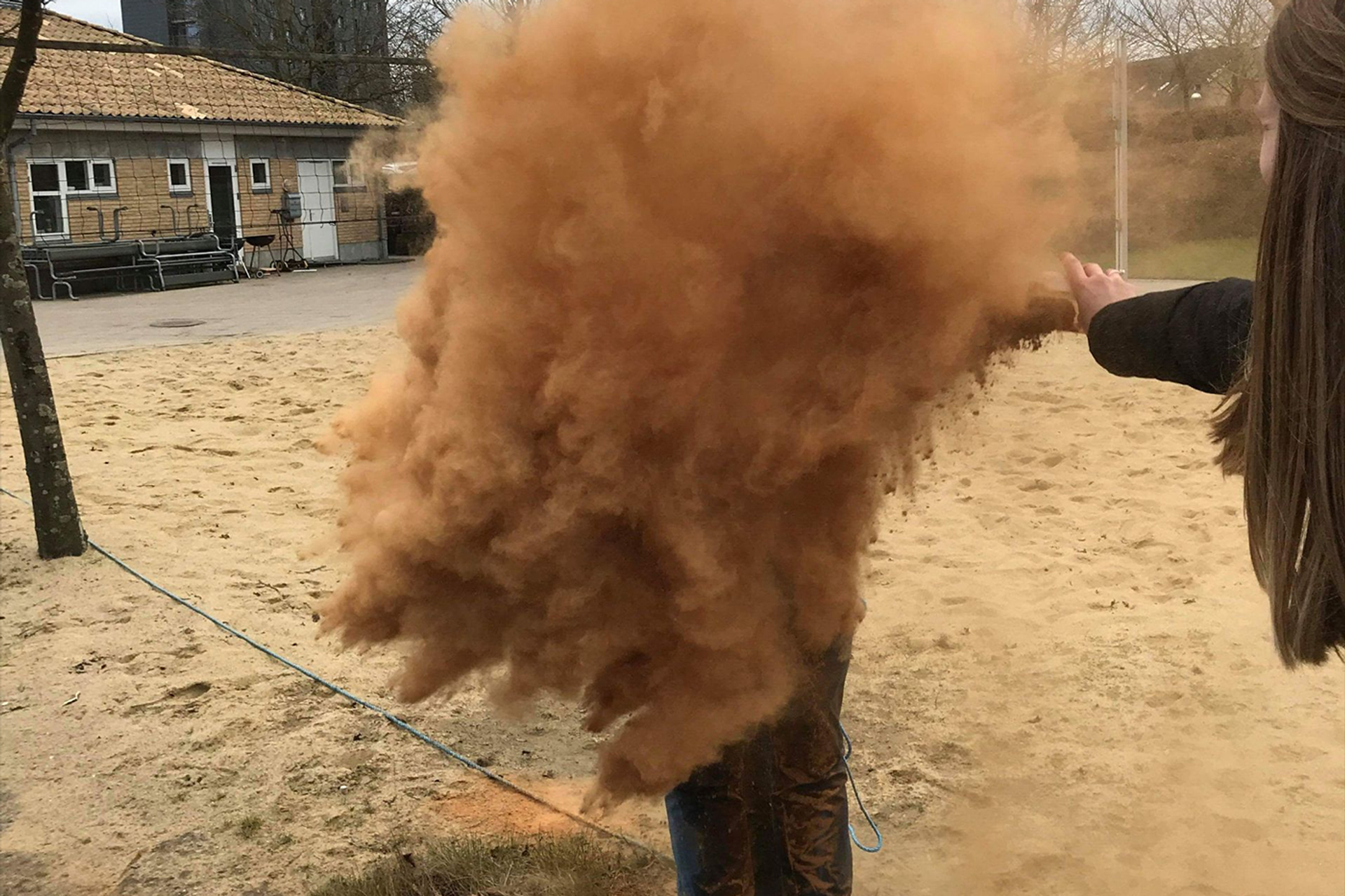 Cinnamon_Denmark-1706719412