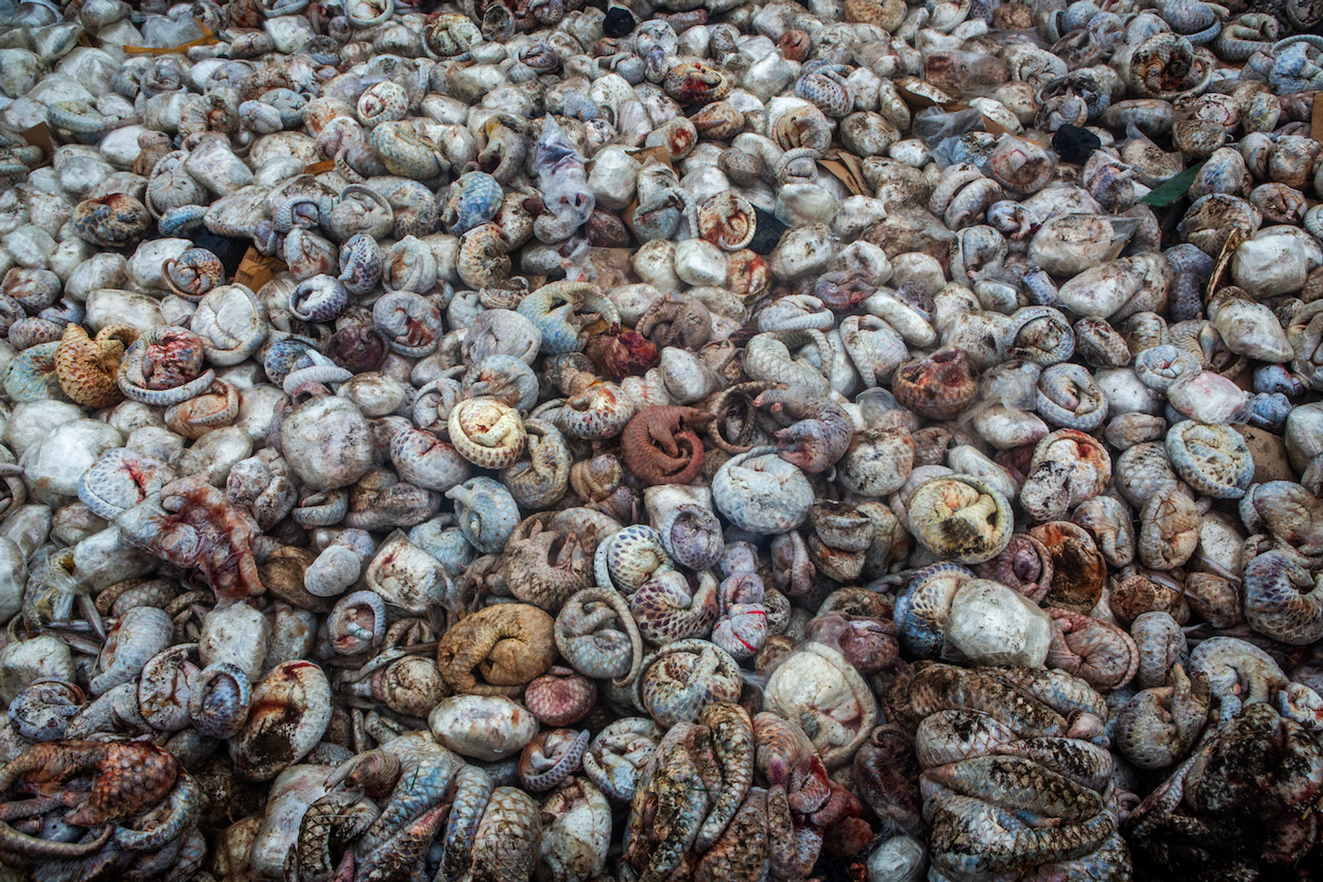 Paul_Hilton_kopie_3-1750410363