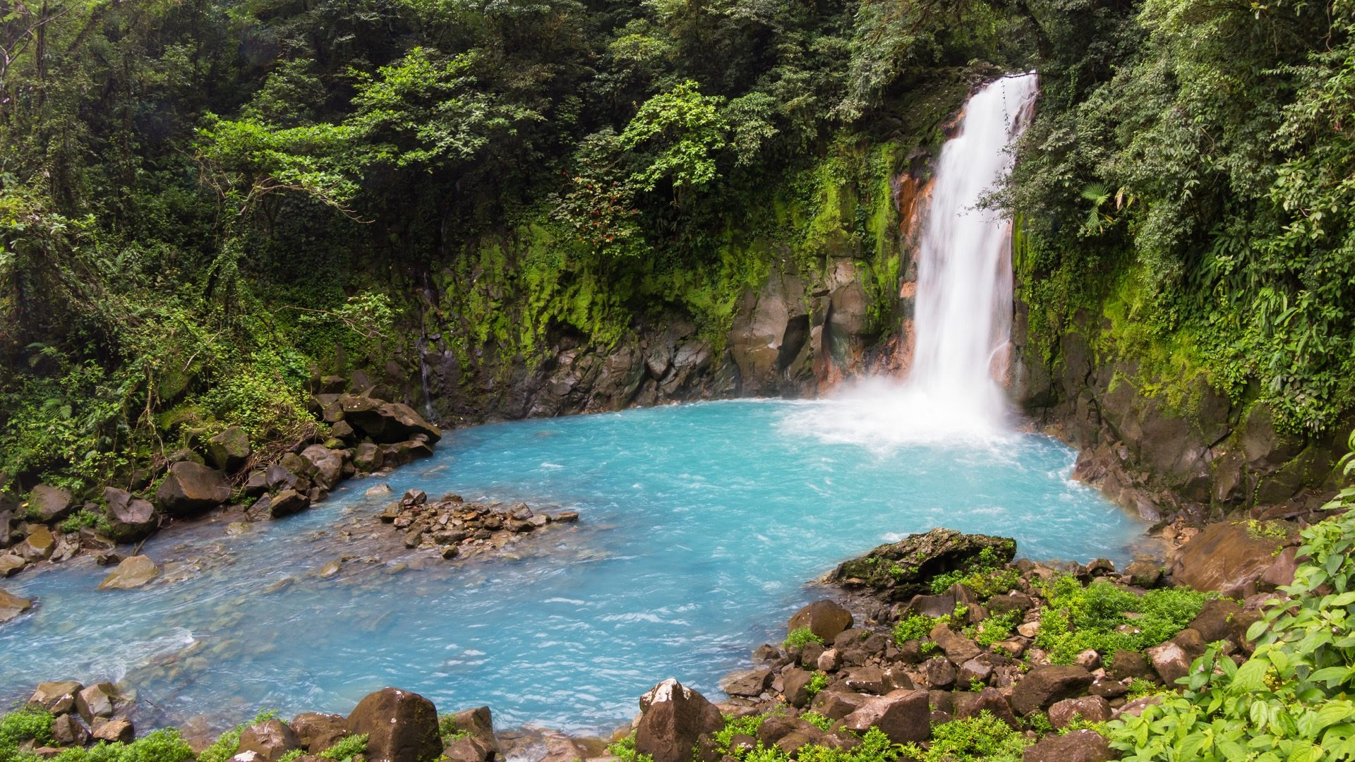 ff2f8c4d-27bc-4378-a375-2b8b611f51d4-1605103112