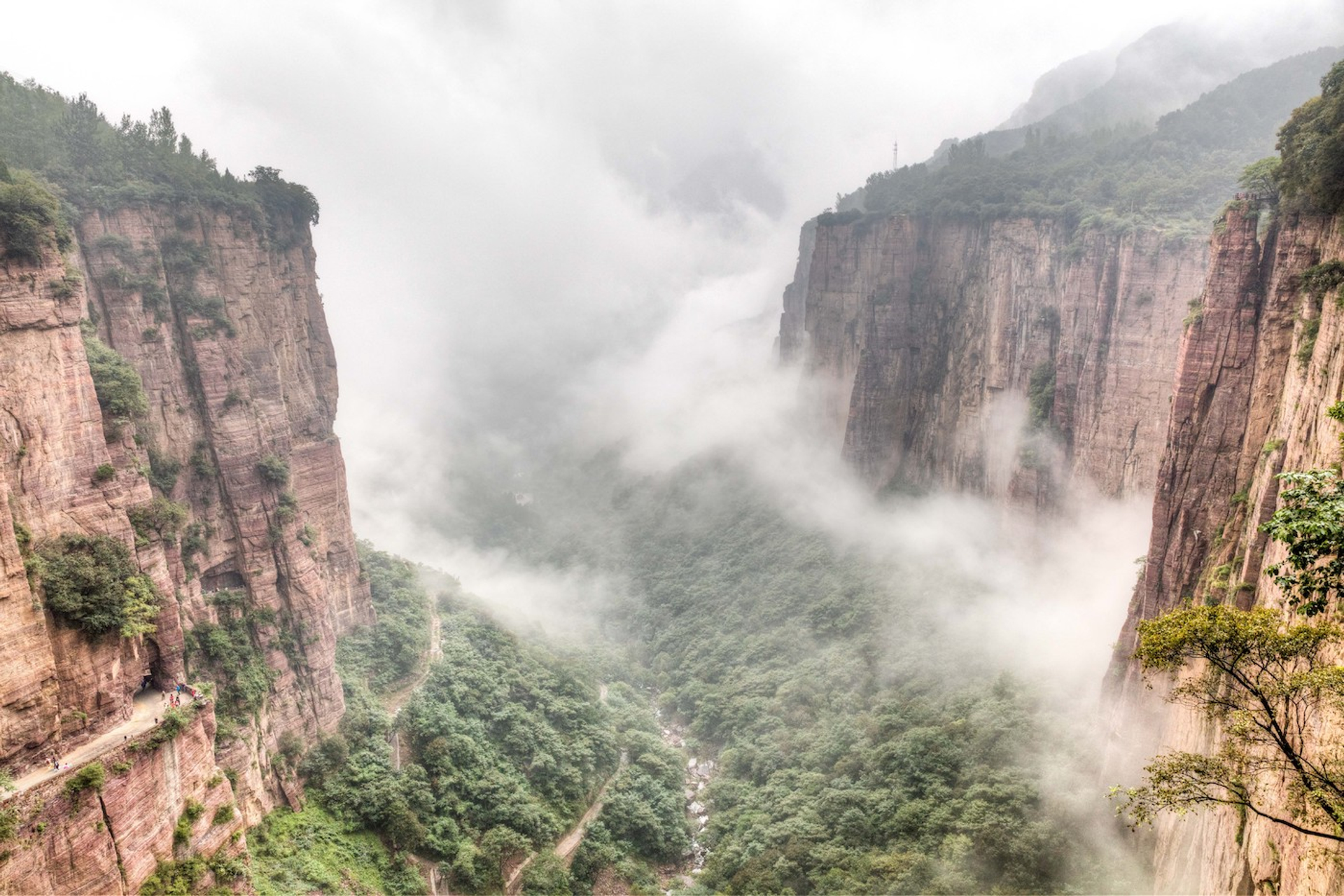 feiflyfly-1639732499