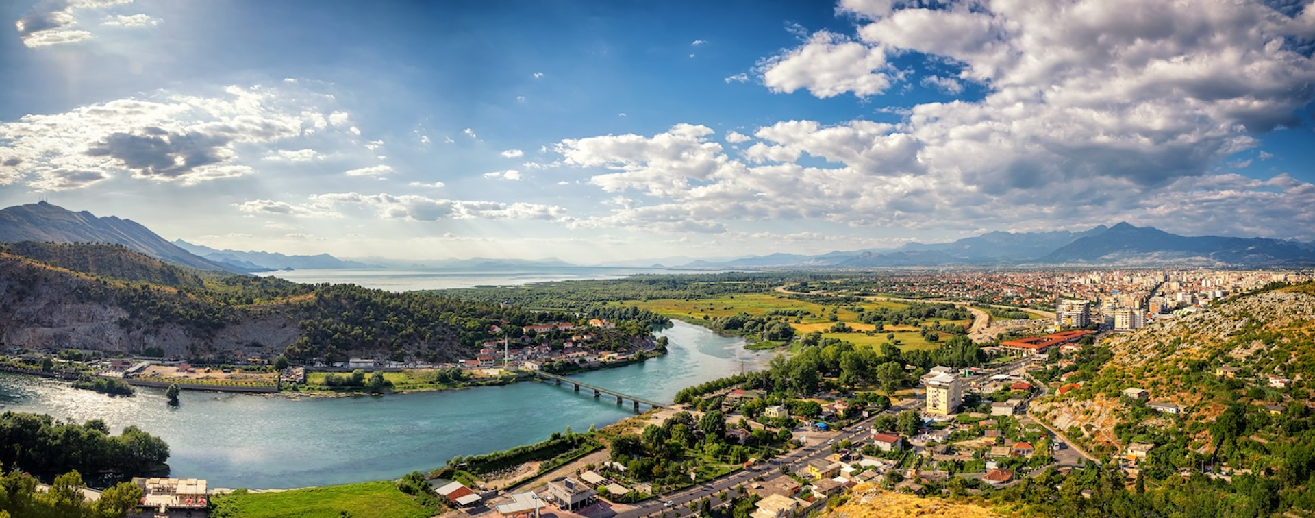 Mark_Jelli-1738081720