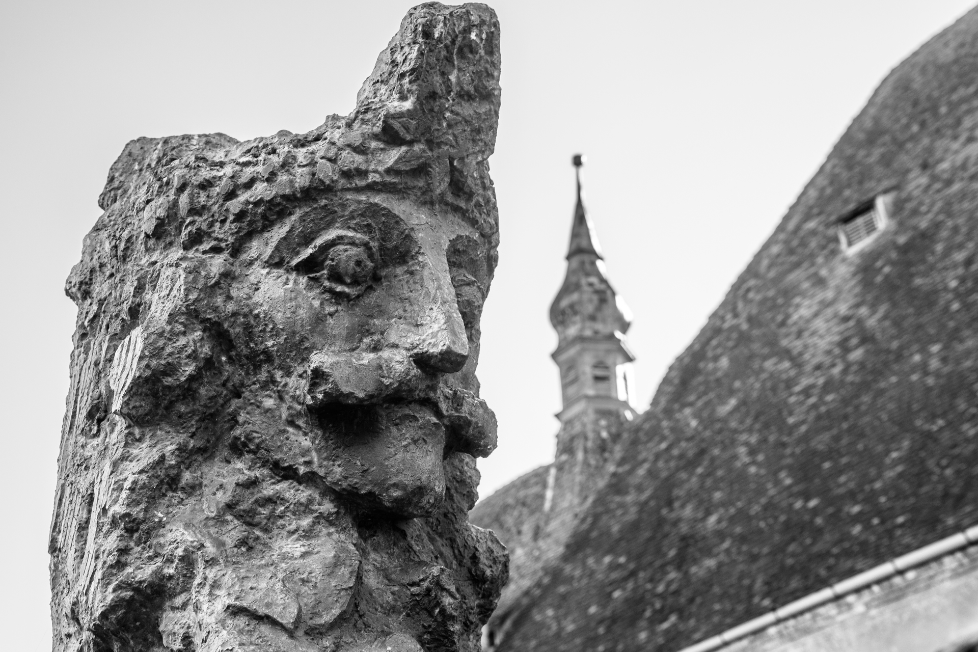 shutterstock_762729490-1666094827