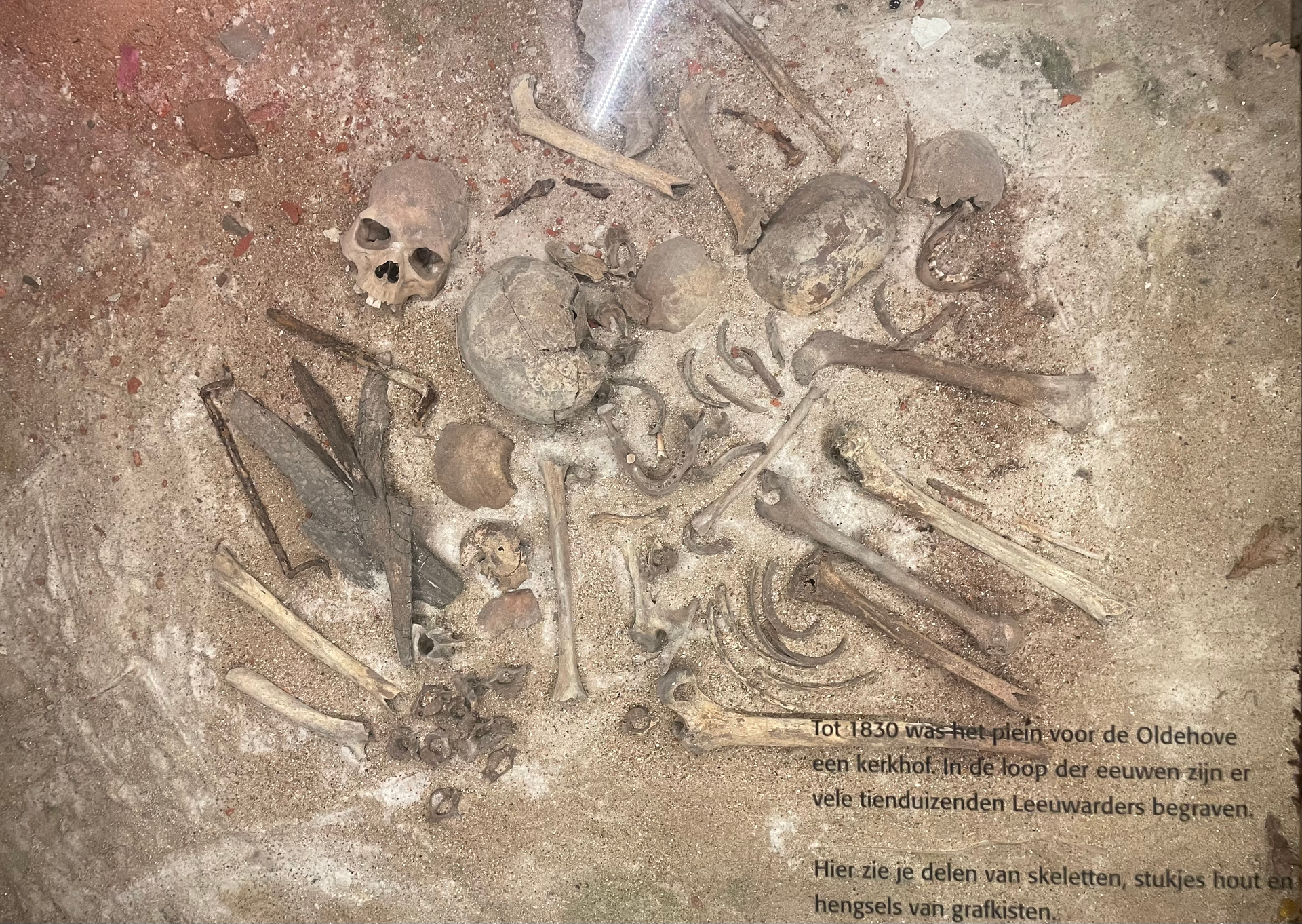 IMG_1094-2-1686310793