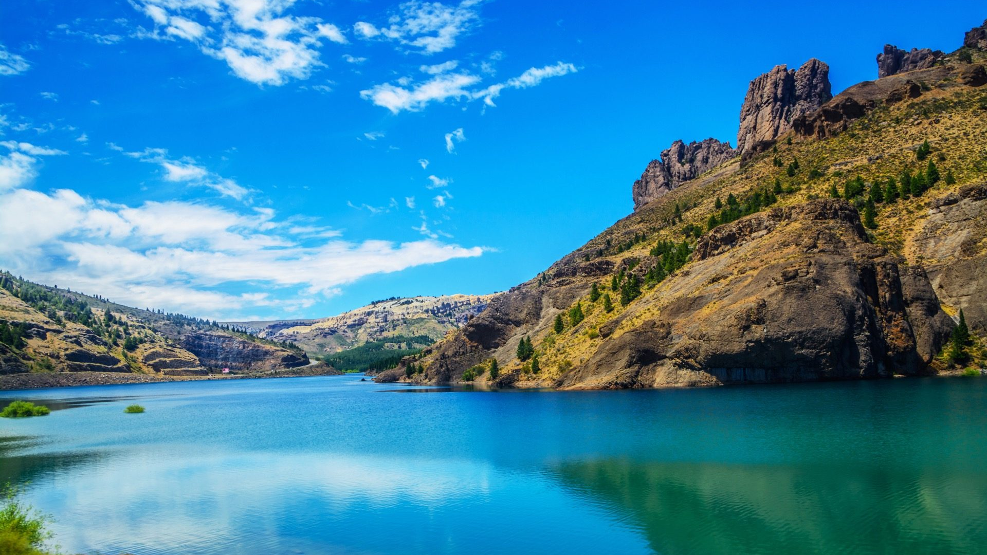 32c2877a-99d1-4a57-977e-9b3f64d692c2-1605104578