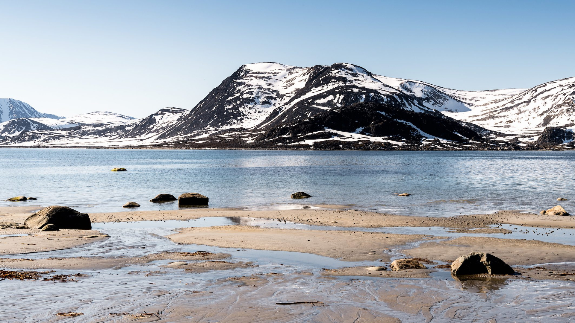 d4084bae-9856-41f3-bf75-b7045989ca4b-1605105435