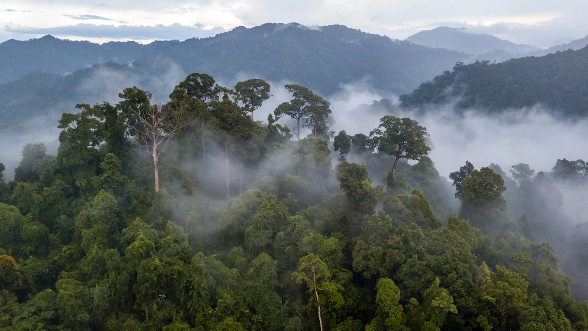 Fotos593__kopi_ren-1660226544