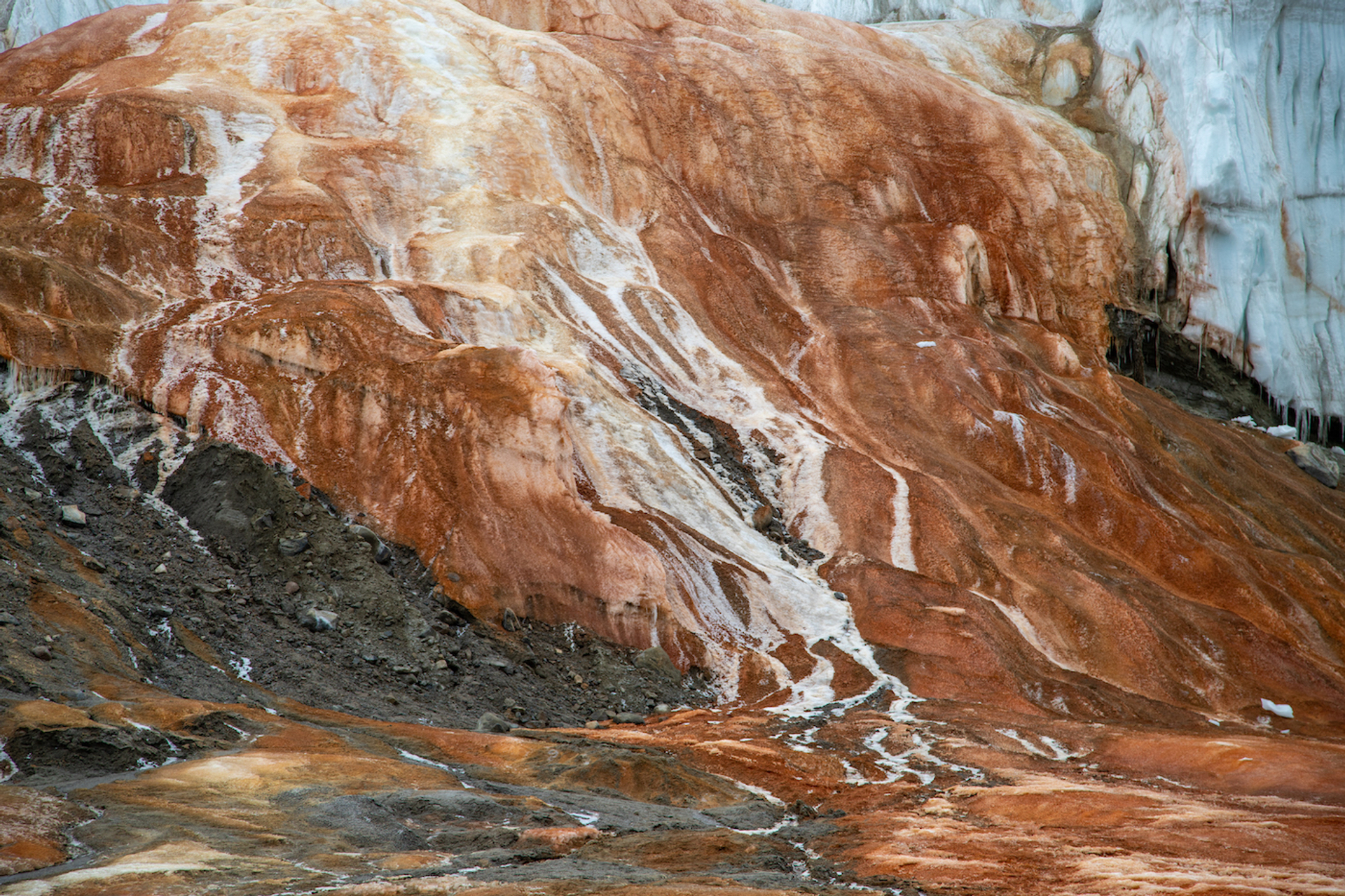 Ariel_Waldman_7_-_Flickr.com-1675158168