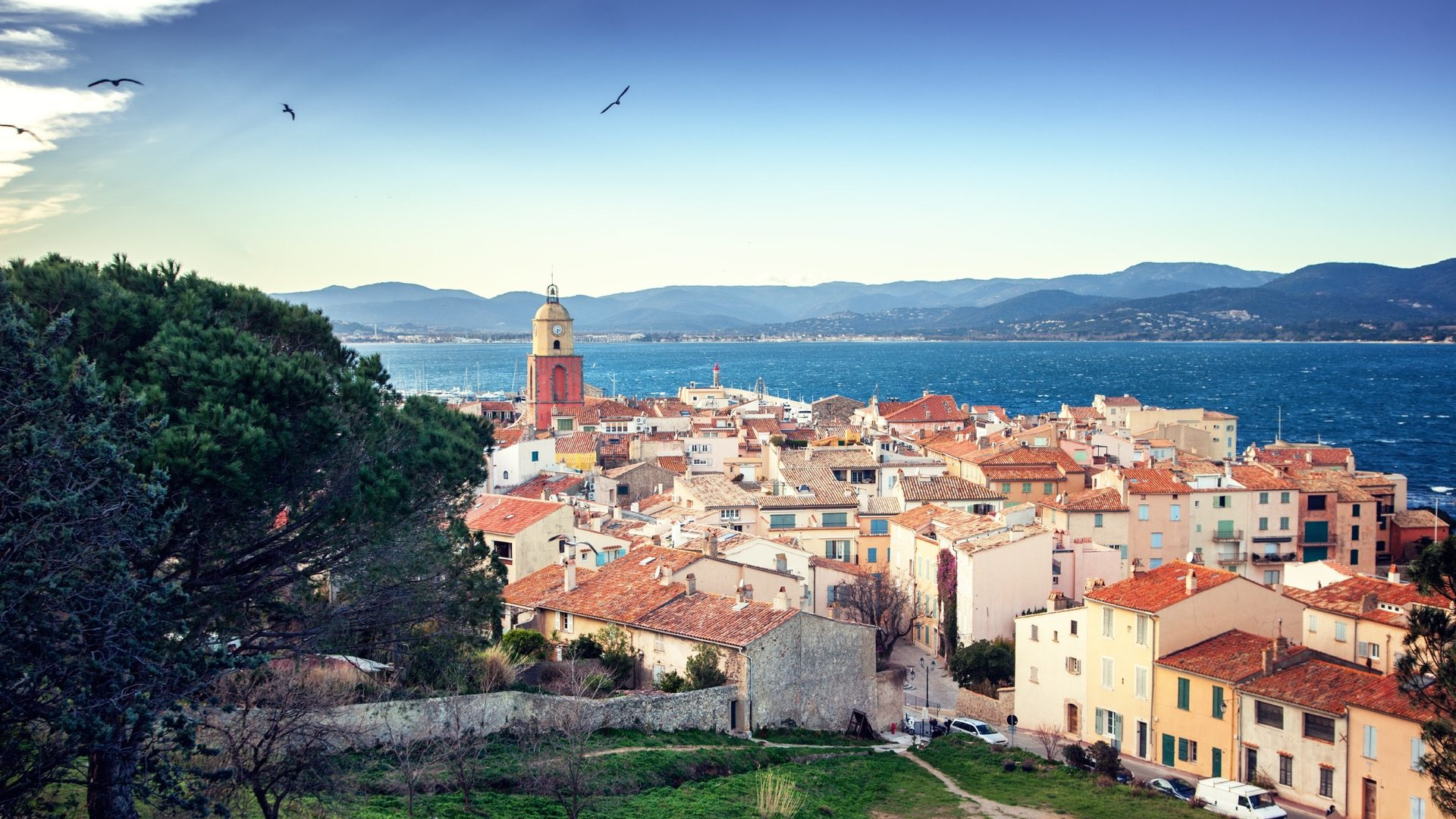 5e1e9f18-043f-4c82-afca-c3b6e2cde287-1605102908