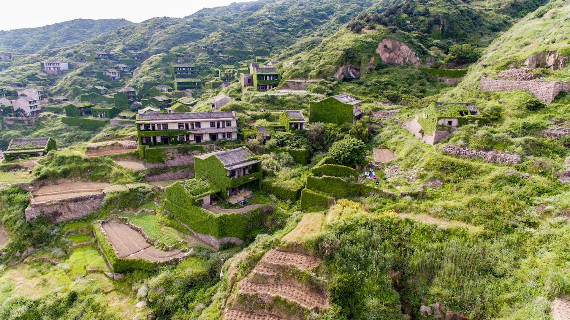 shutterstock_1383444827-1631527512