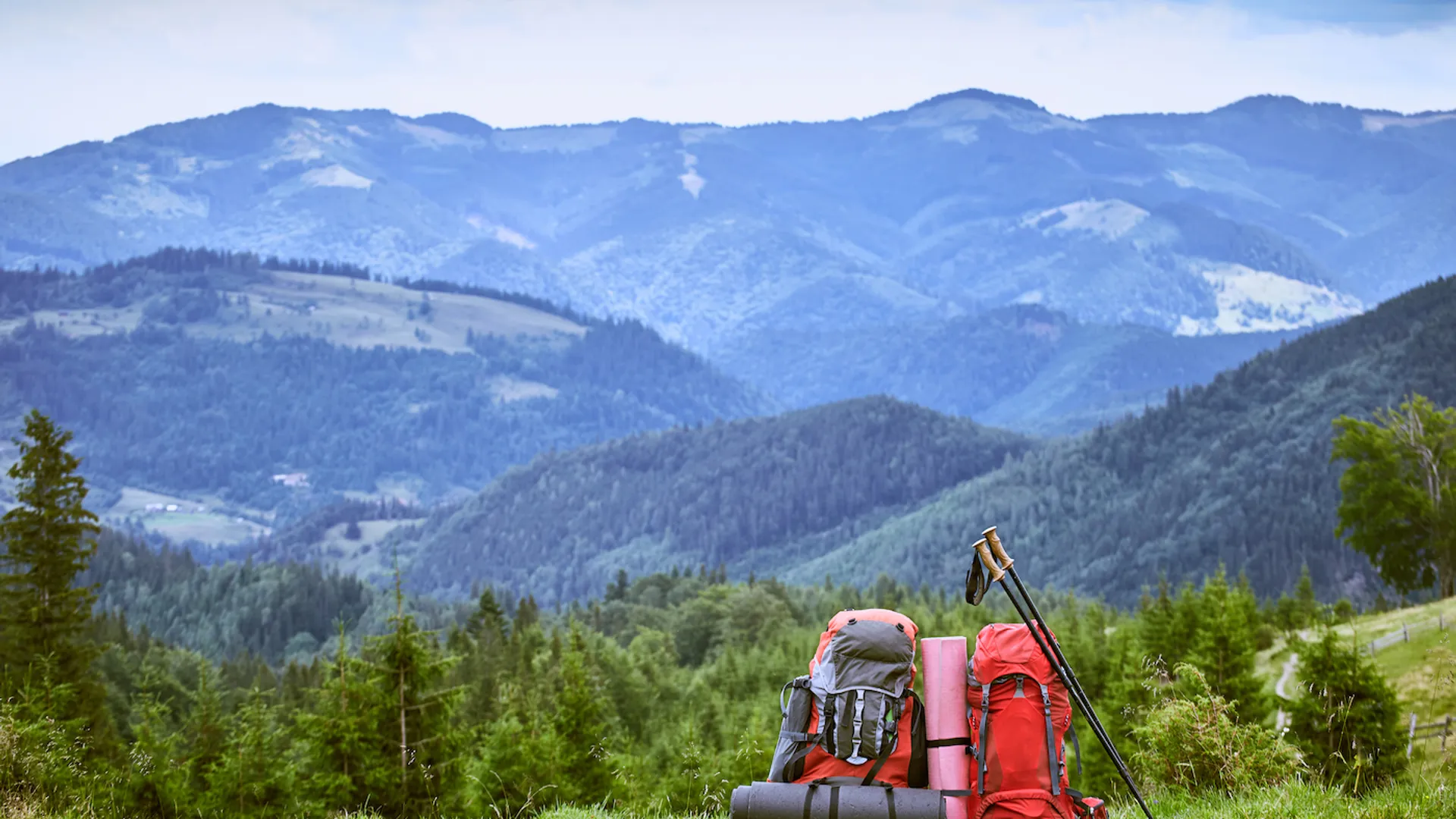 shutterstock_712143085-1628676685