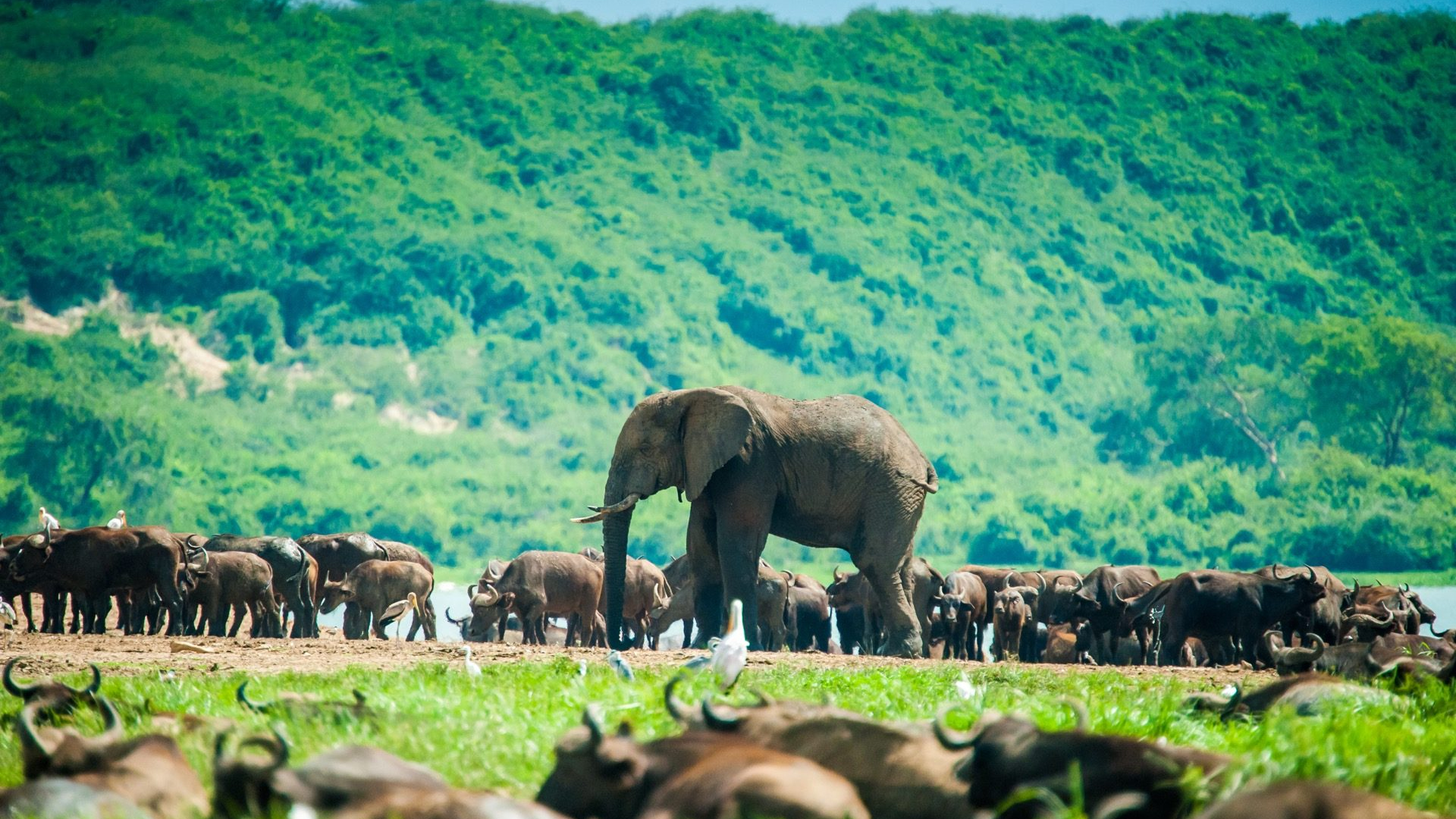 b84ca2de-93c0-4572-8dc2-8263e72014f0-1605103697